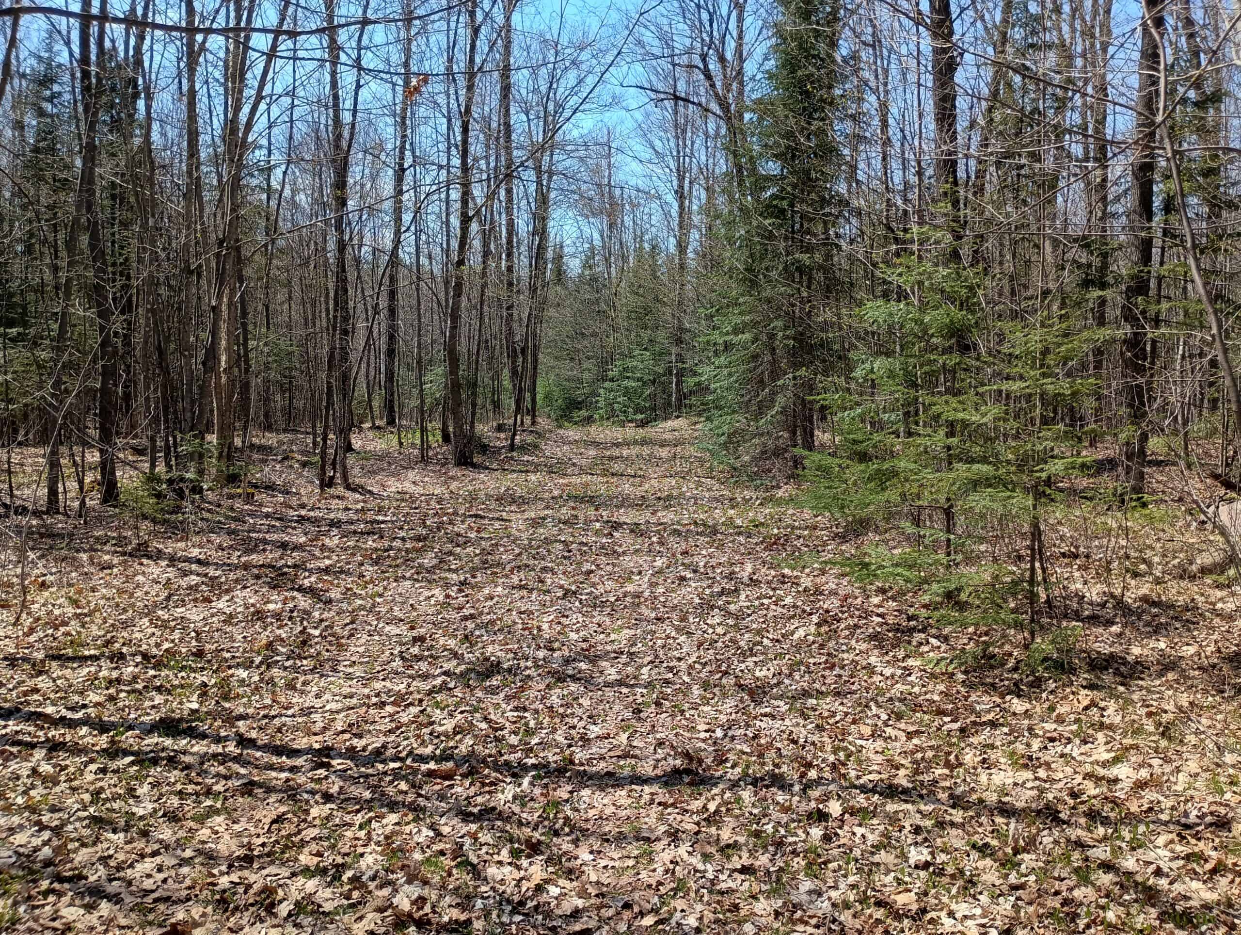 Cabin with Acreage for Sale in Glidden, Wisconsin