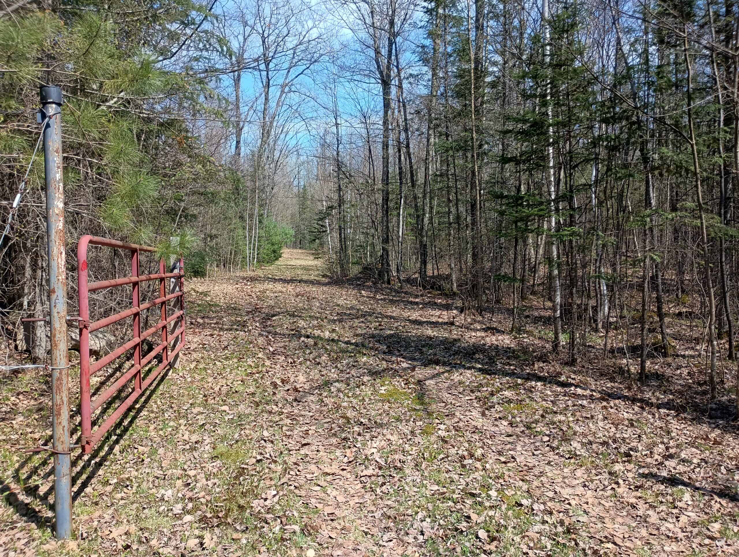 Cabin with Acreage for Sale in Glidden, Wisconsin