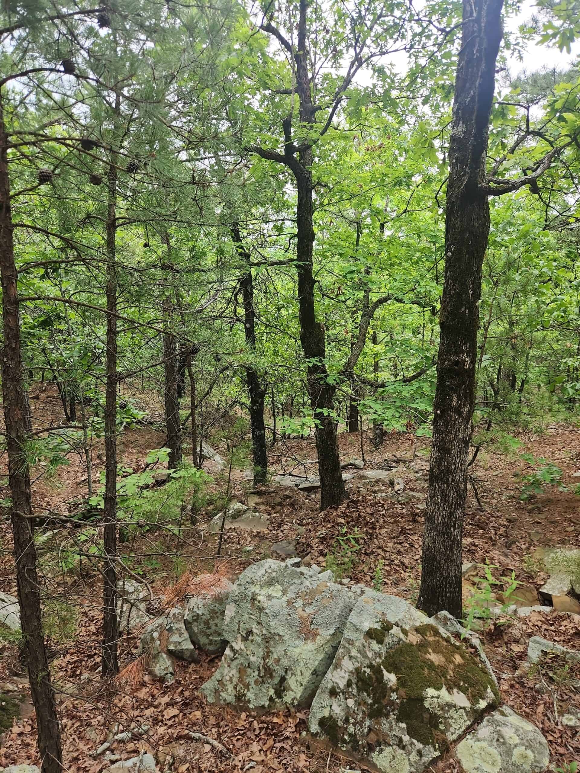 40 Acres – Off-Grid Mountain Getaway in Bengal, Oklahoma