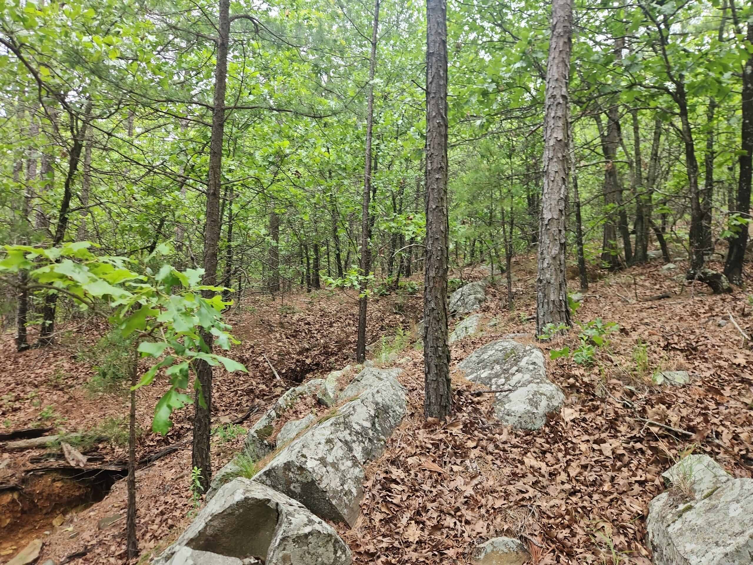 40 Acres – Off-Grid Mountain Getaway in Bengal, Oklahoma