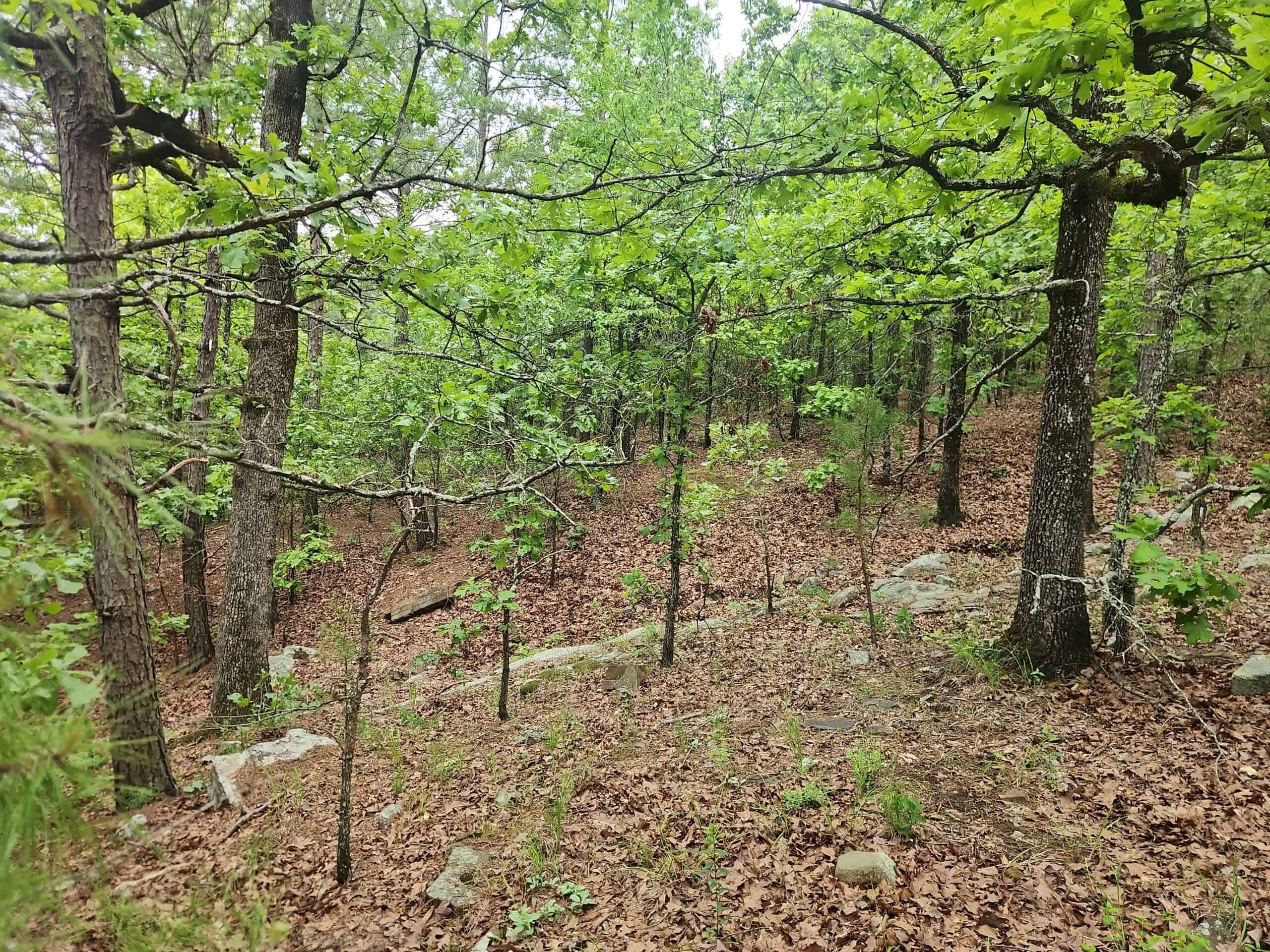 40 Acres – Off-Grid Mountain Getaway in Bengal, Oklahoma
