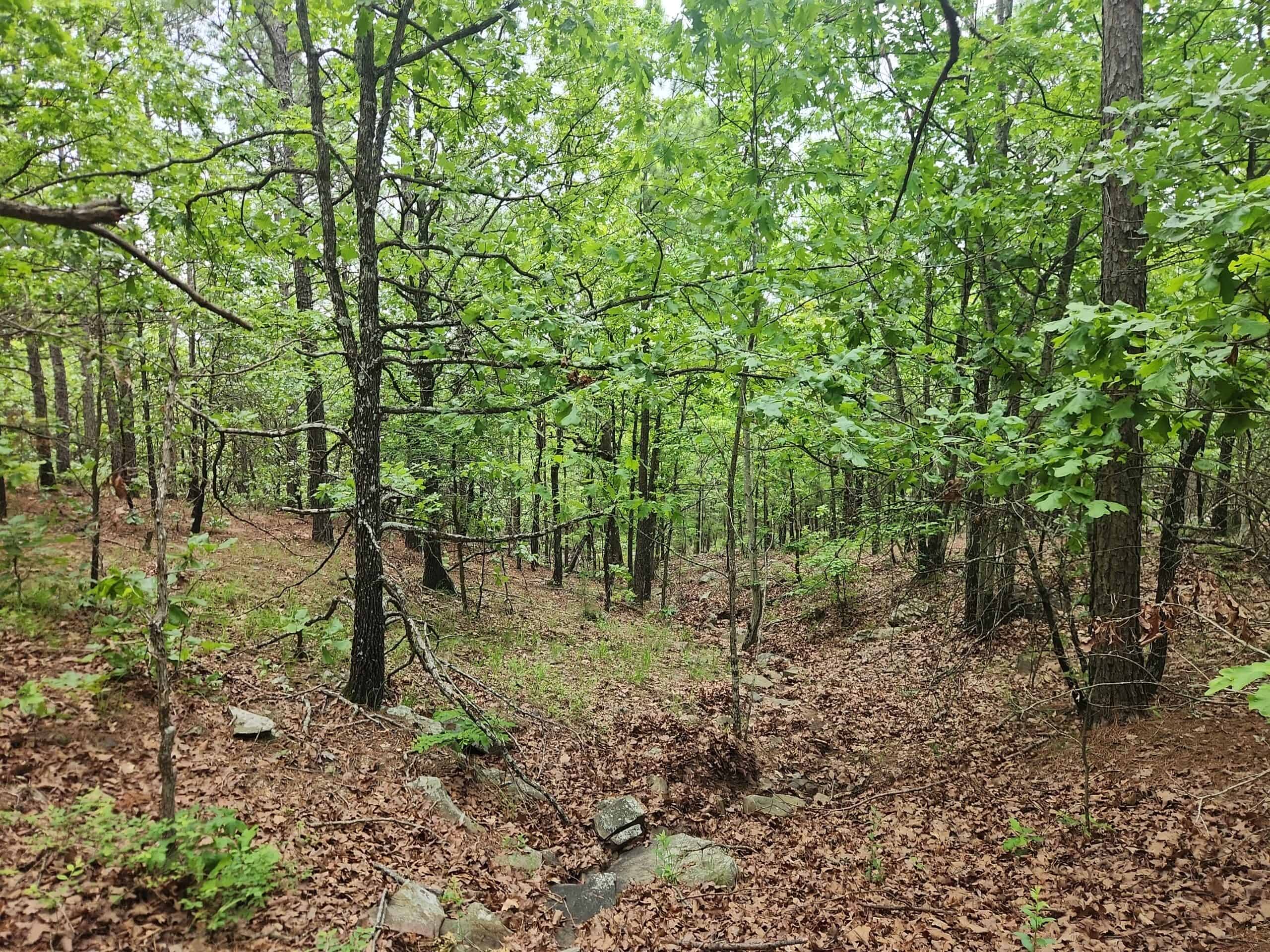 40 Acres – Off-Grid Mountain Getaway in Bengal, Oklahoma
