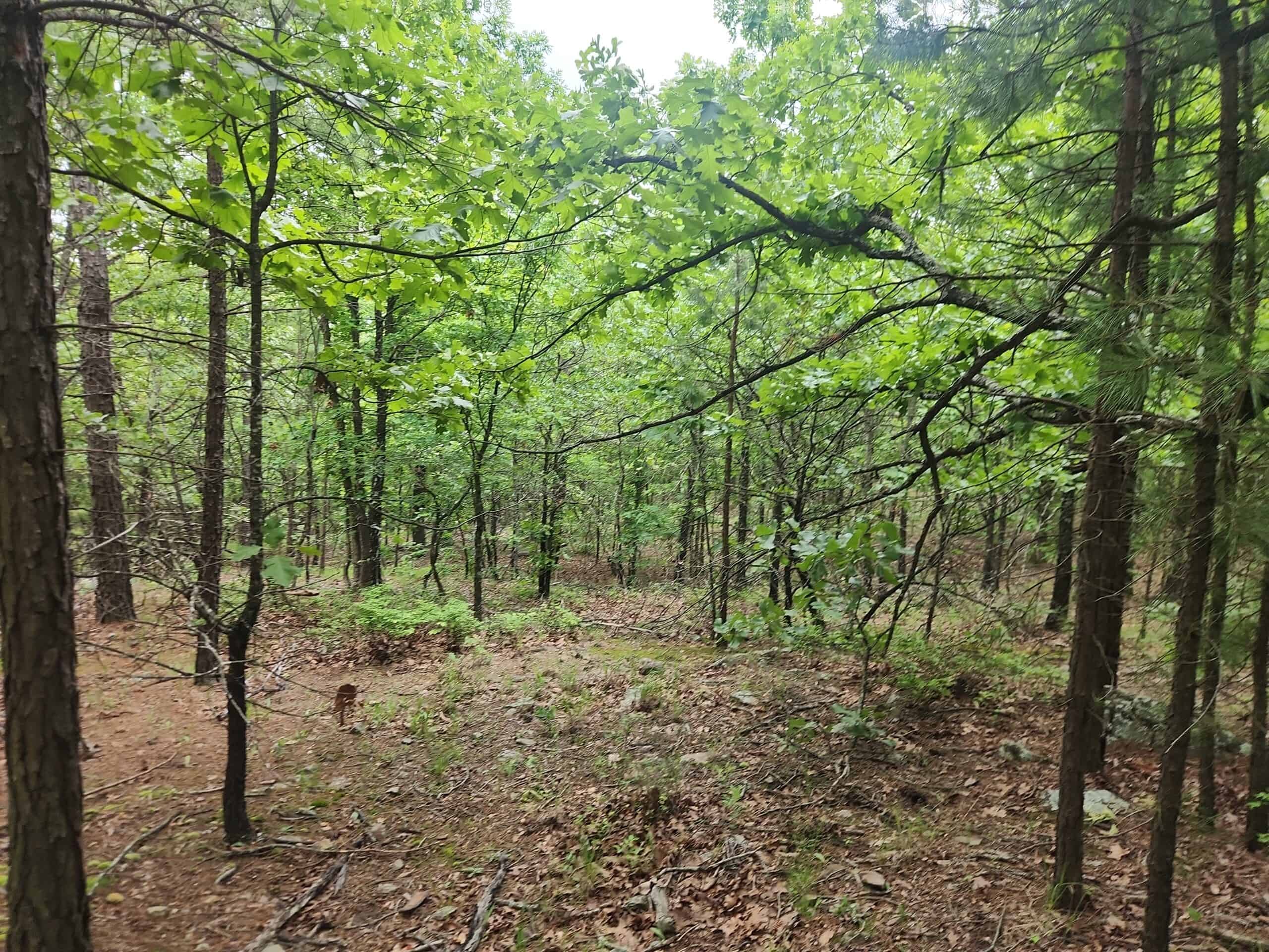 40 Acres – Off-Grid Mountain Getaway in Bengal, Oklahoma