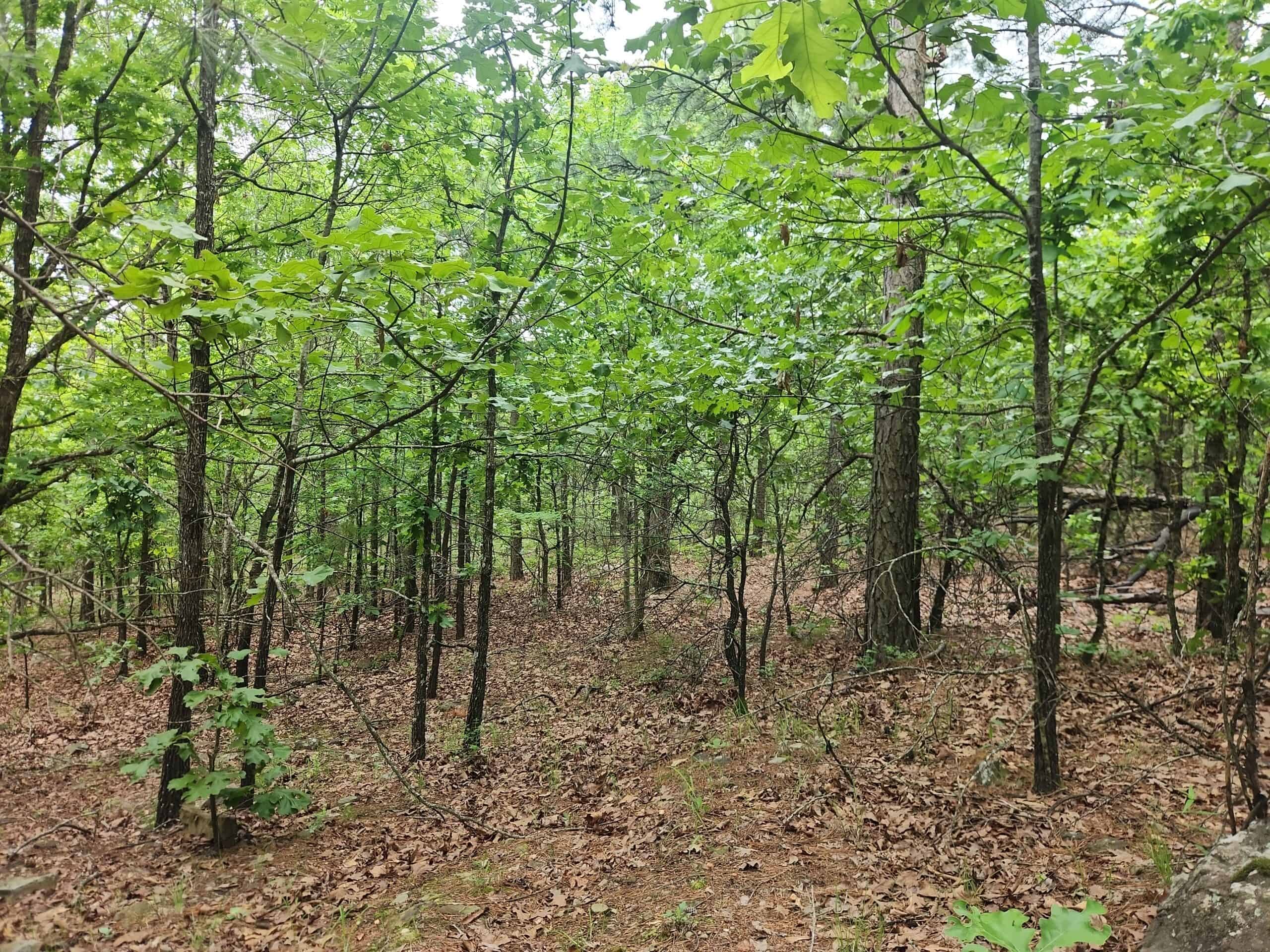40 Acres – Off-Grid Mountain Getaway in Bengal, Oklahoma