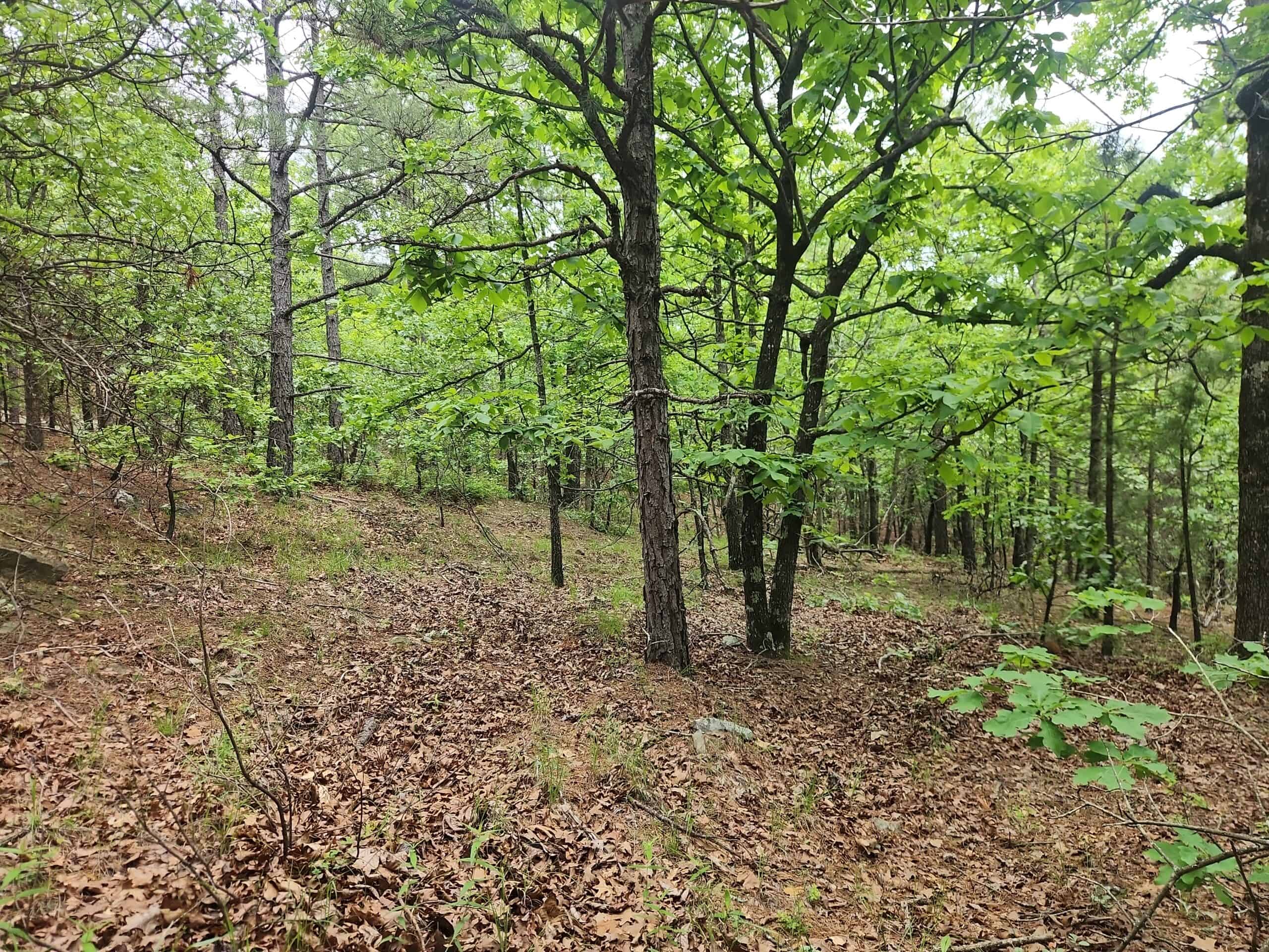 40 Acres – Off-Grid Mountain Getaway in Bengal, Oklahoma