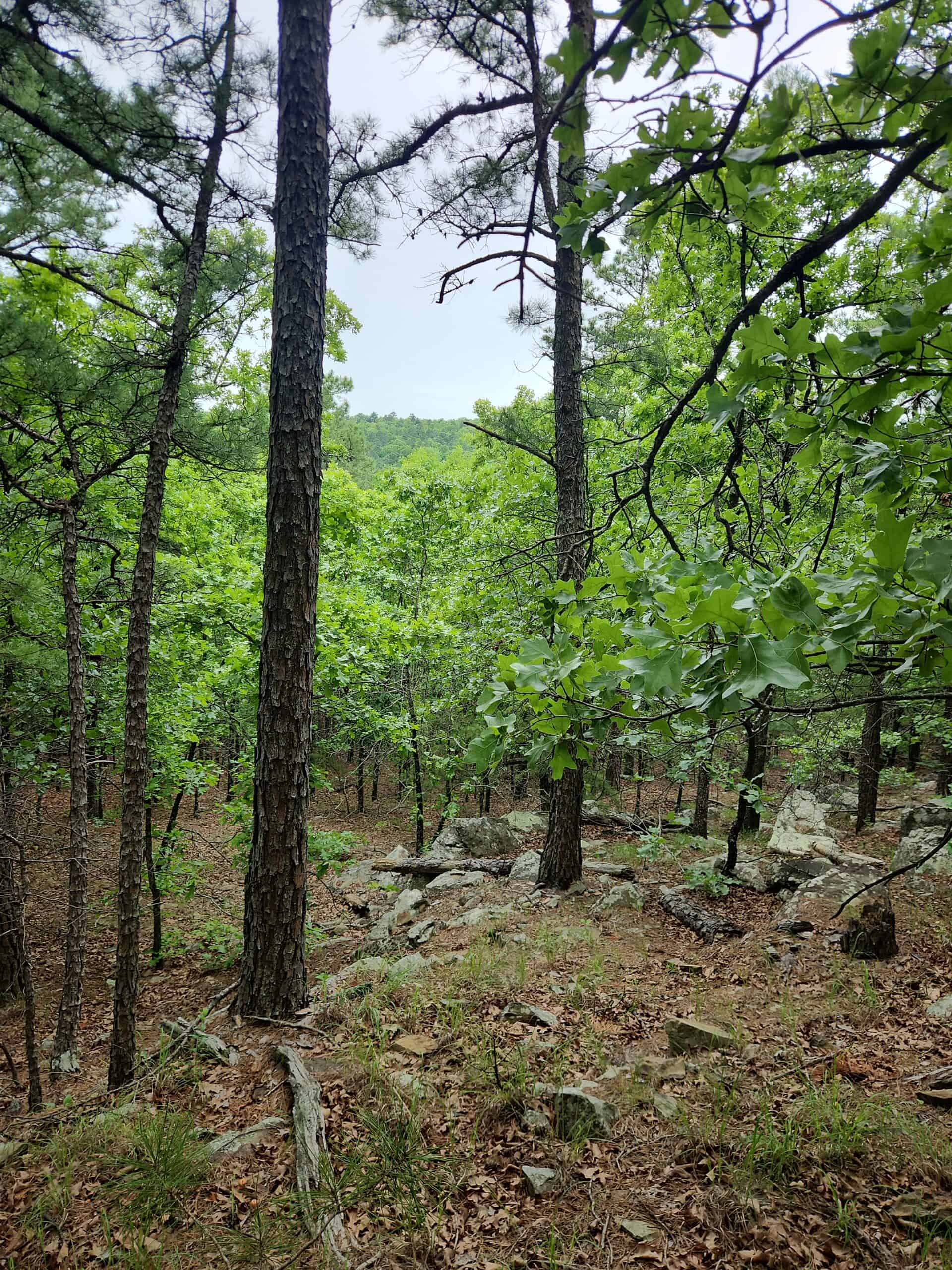 40 Acres – Off-Grid Mountain Getaway in Bengal, Oklahoma