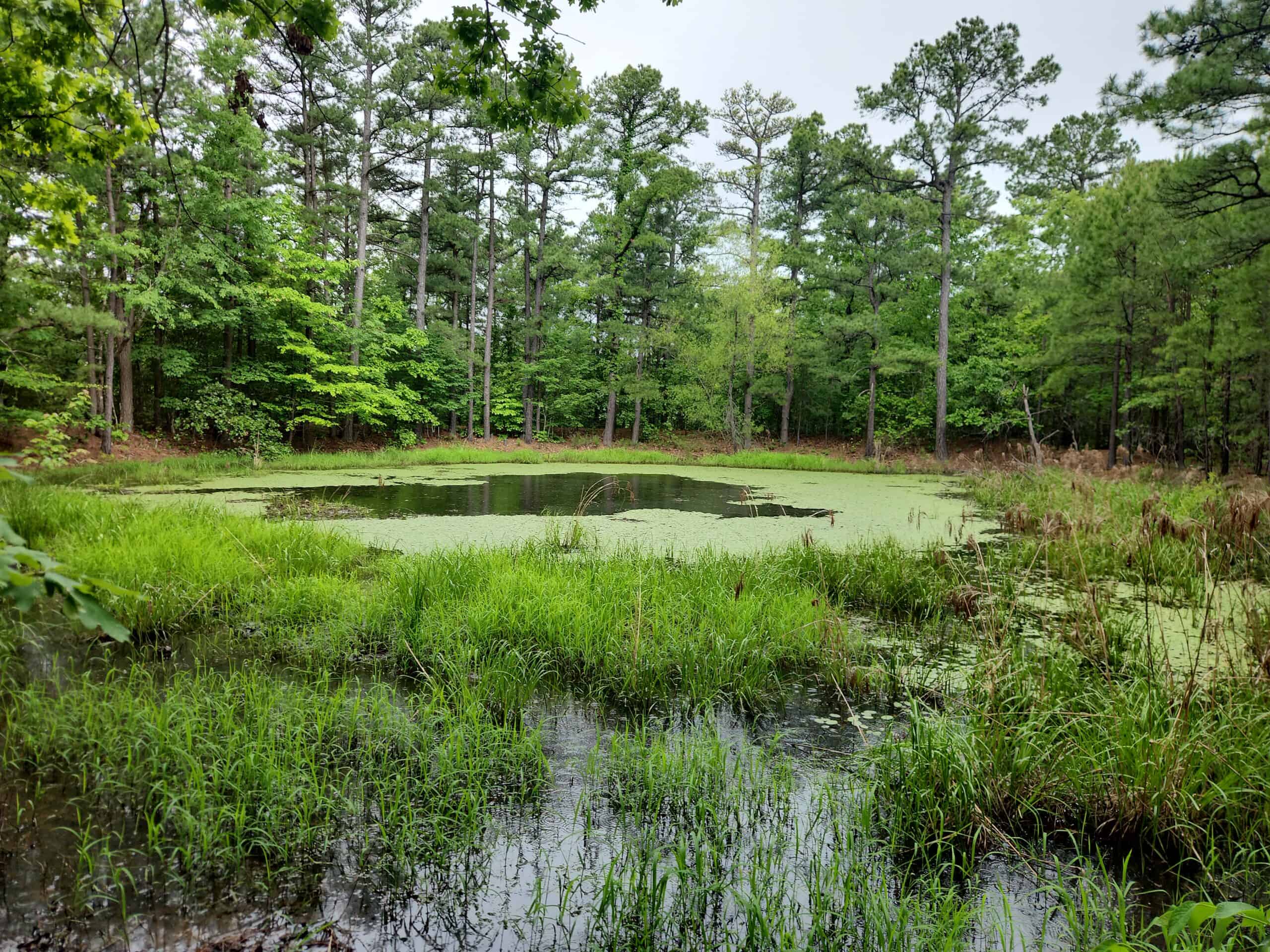 40 Acres – Off-Grid Mountain Getaway in Bengal, Oklahoma