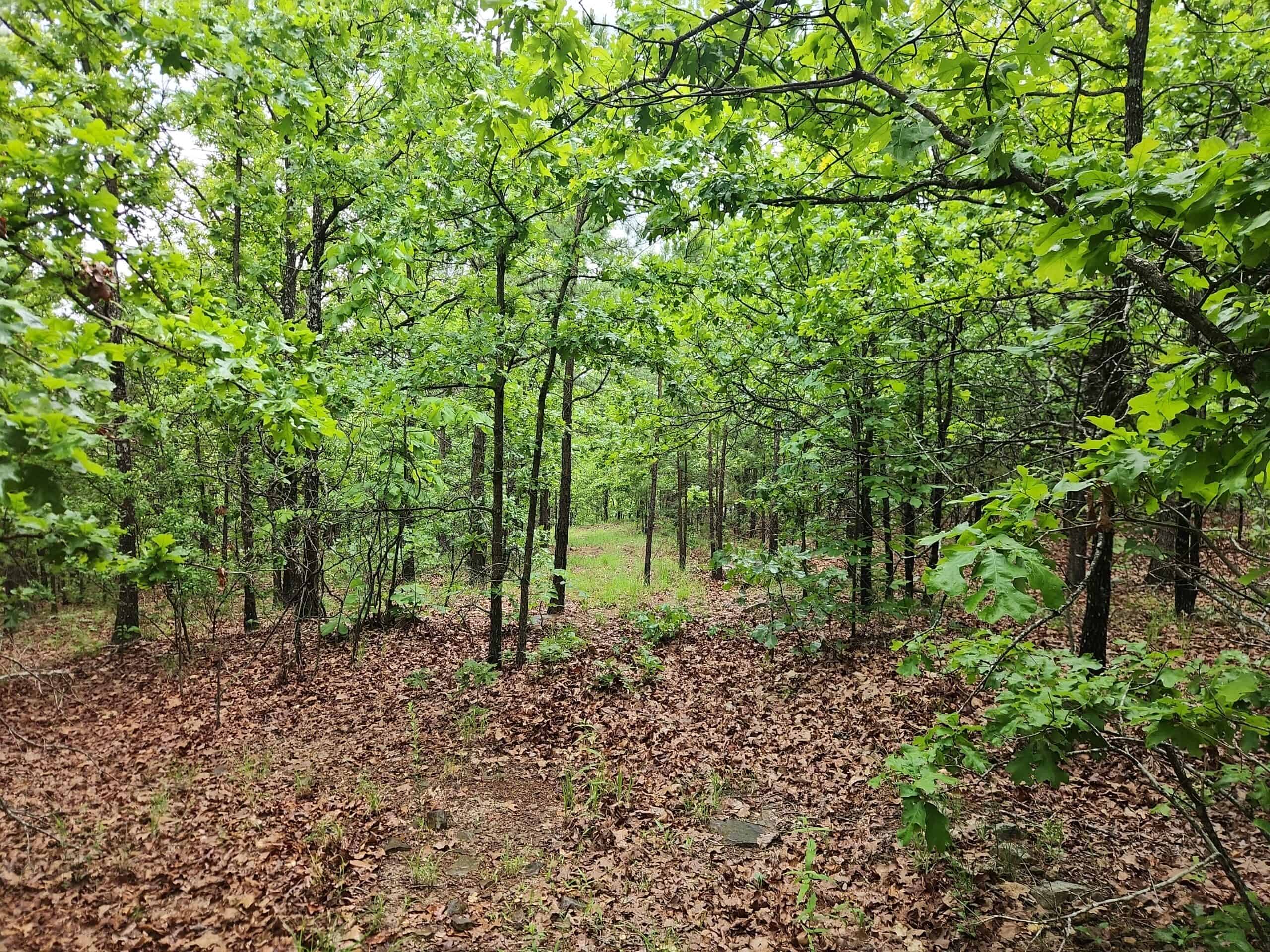 40 Acres – Off-Grid Mountain Getaway in Bengal, Oklahoma