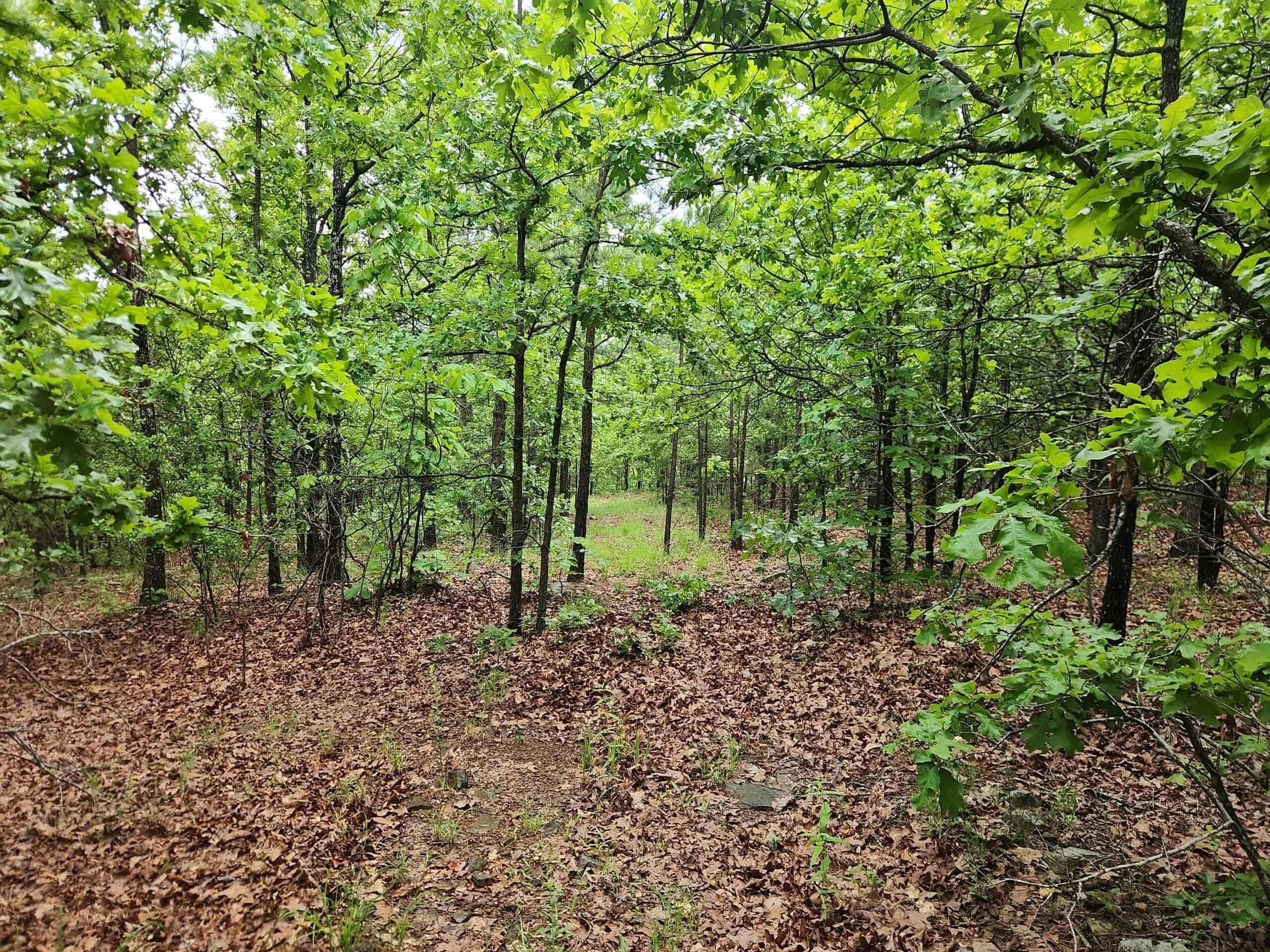 40 Acres – Off-Grid Mountain Getaway in Bengal, Oklahoma