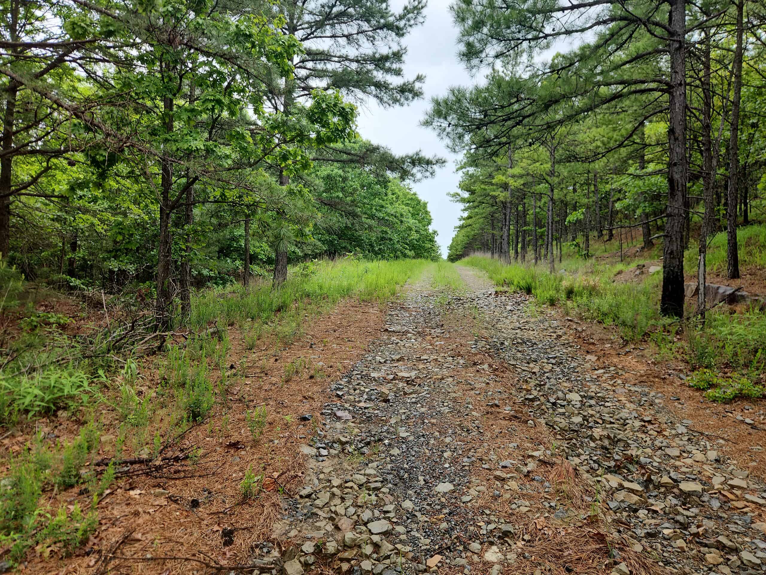 40 Acres – Off-Grid Mountain Getaway in Bengal, Oklahoma