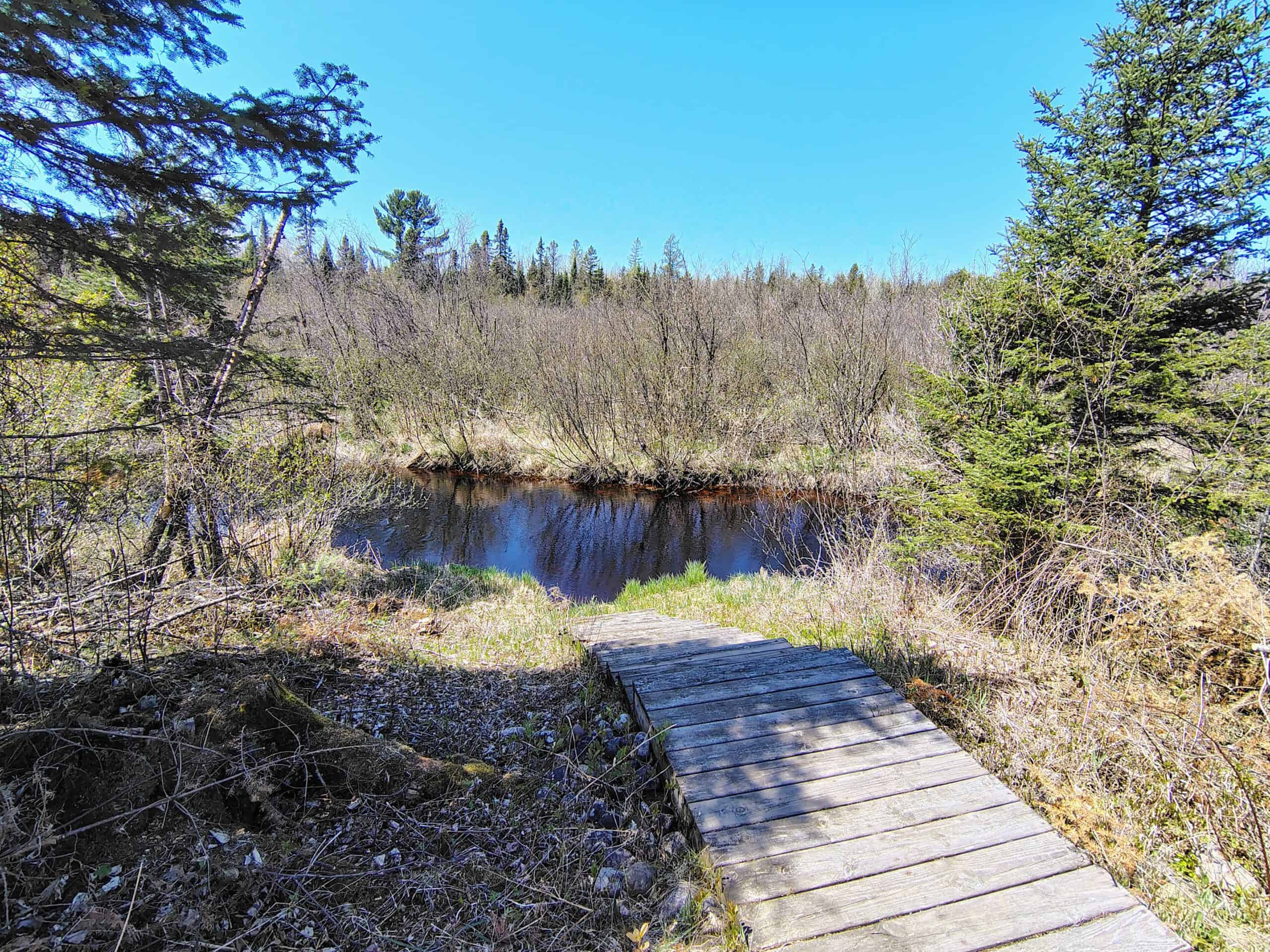 Land with Cabin for Sale in Glidden, Wisconsin