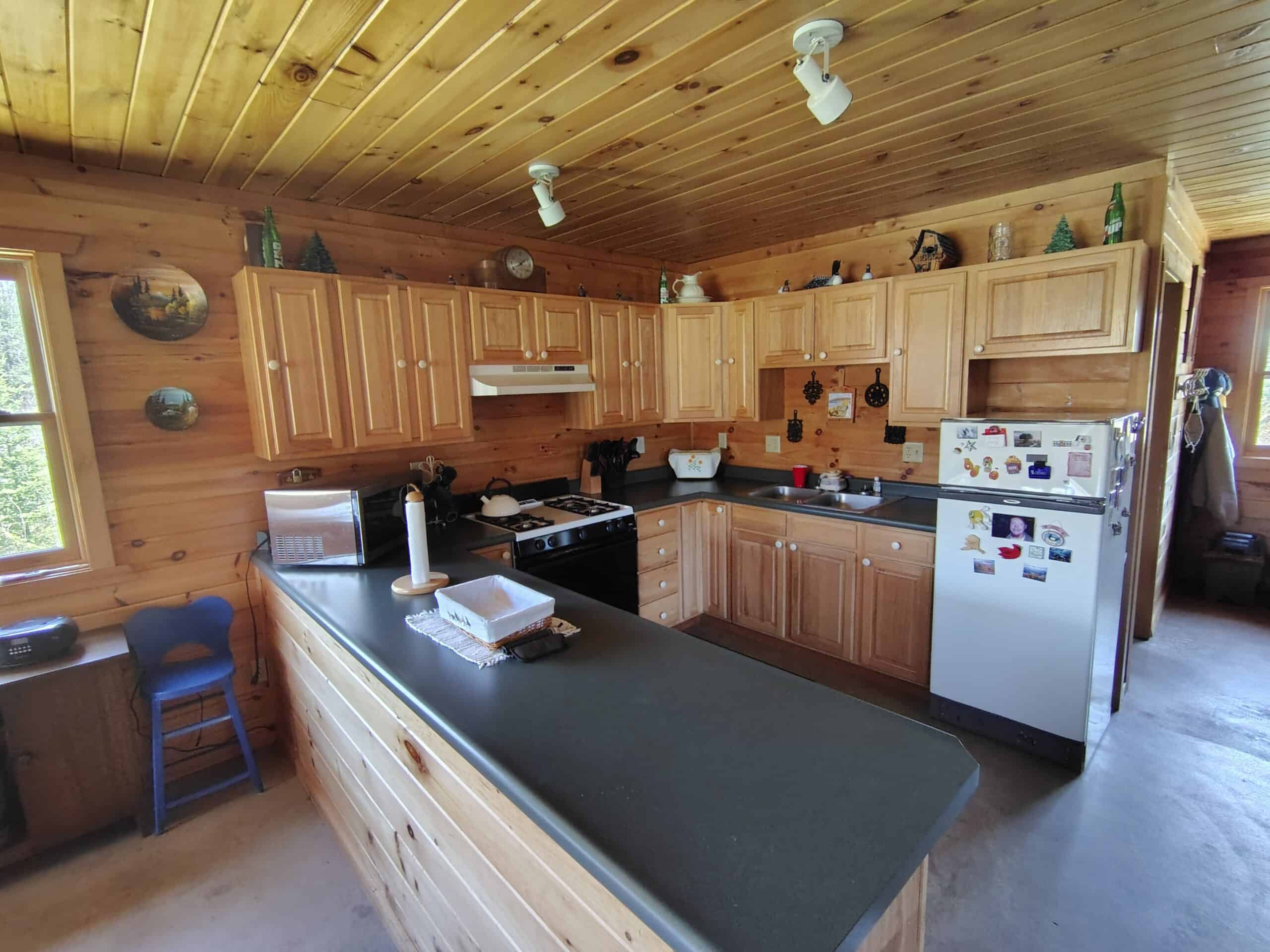 Land with Cabin for Sale in Glidden, Wisconsin