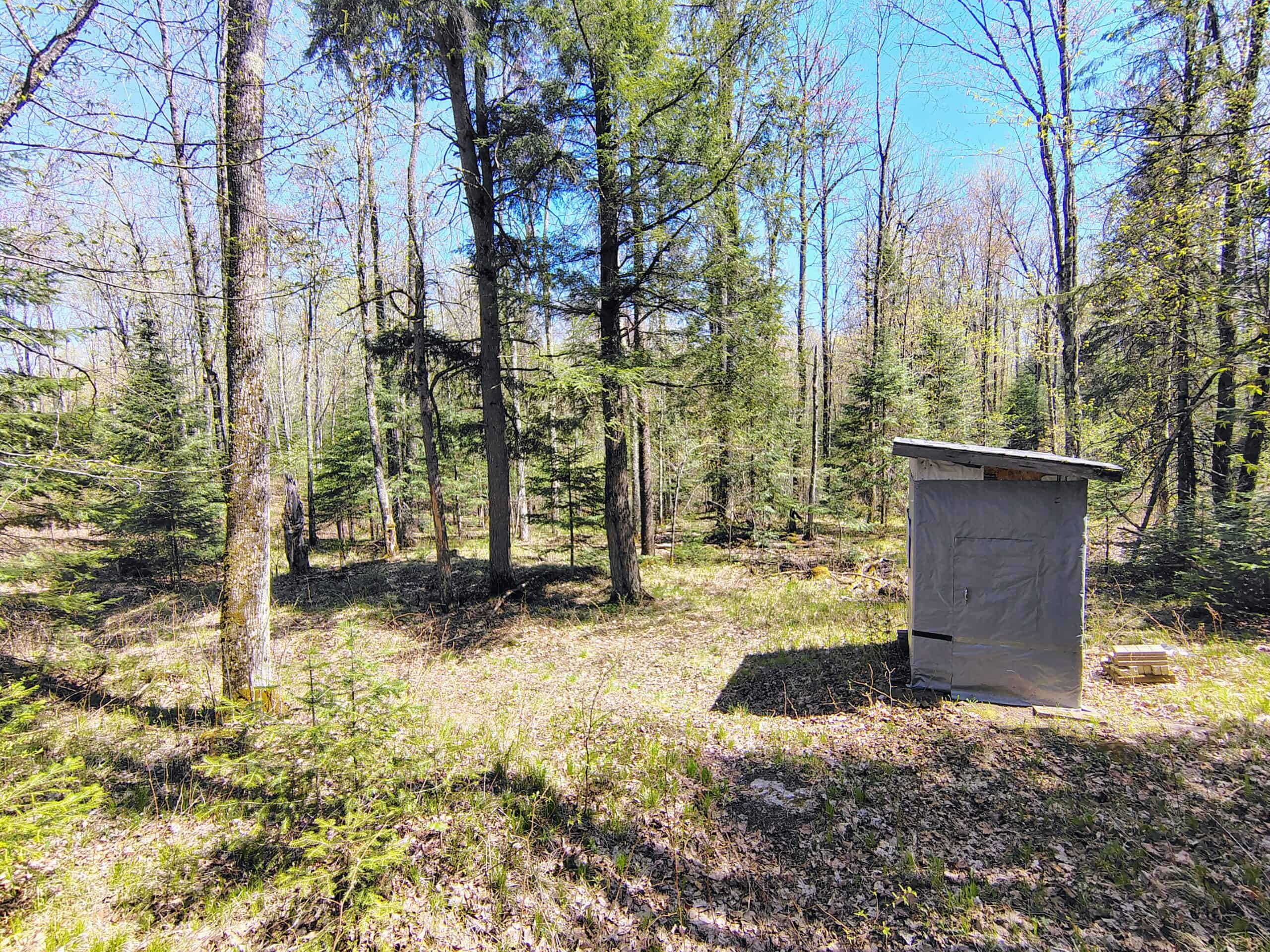 Land with Cabin for Sale in Glidden, Wisconsin