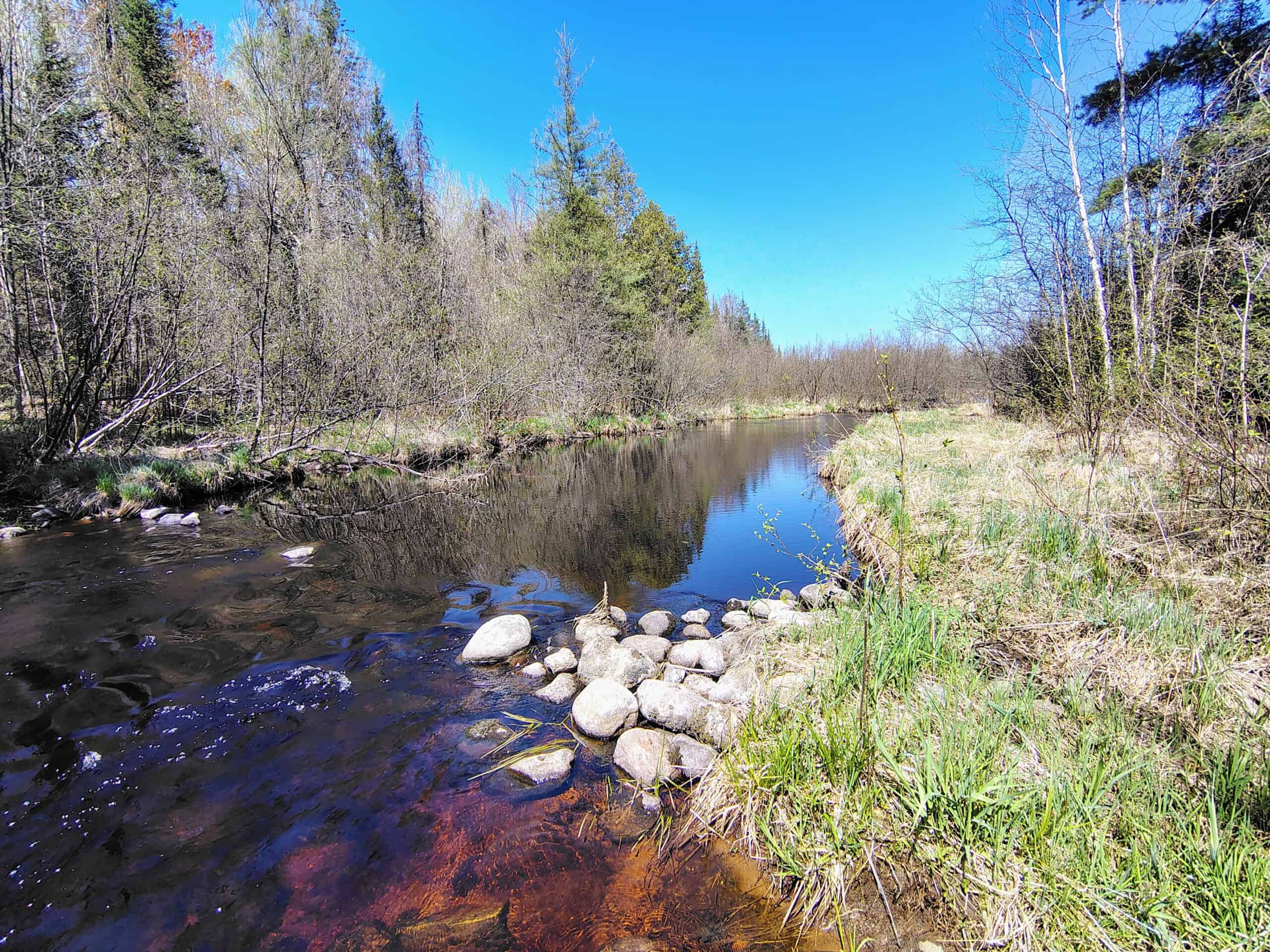Land with Cabin for Sale in Glidden, Wisconsin