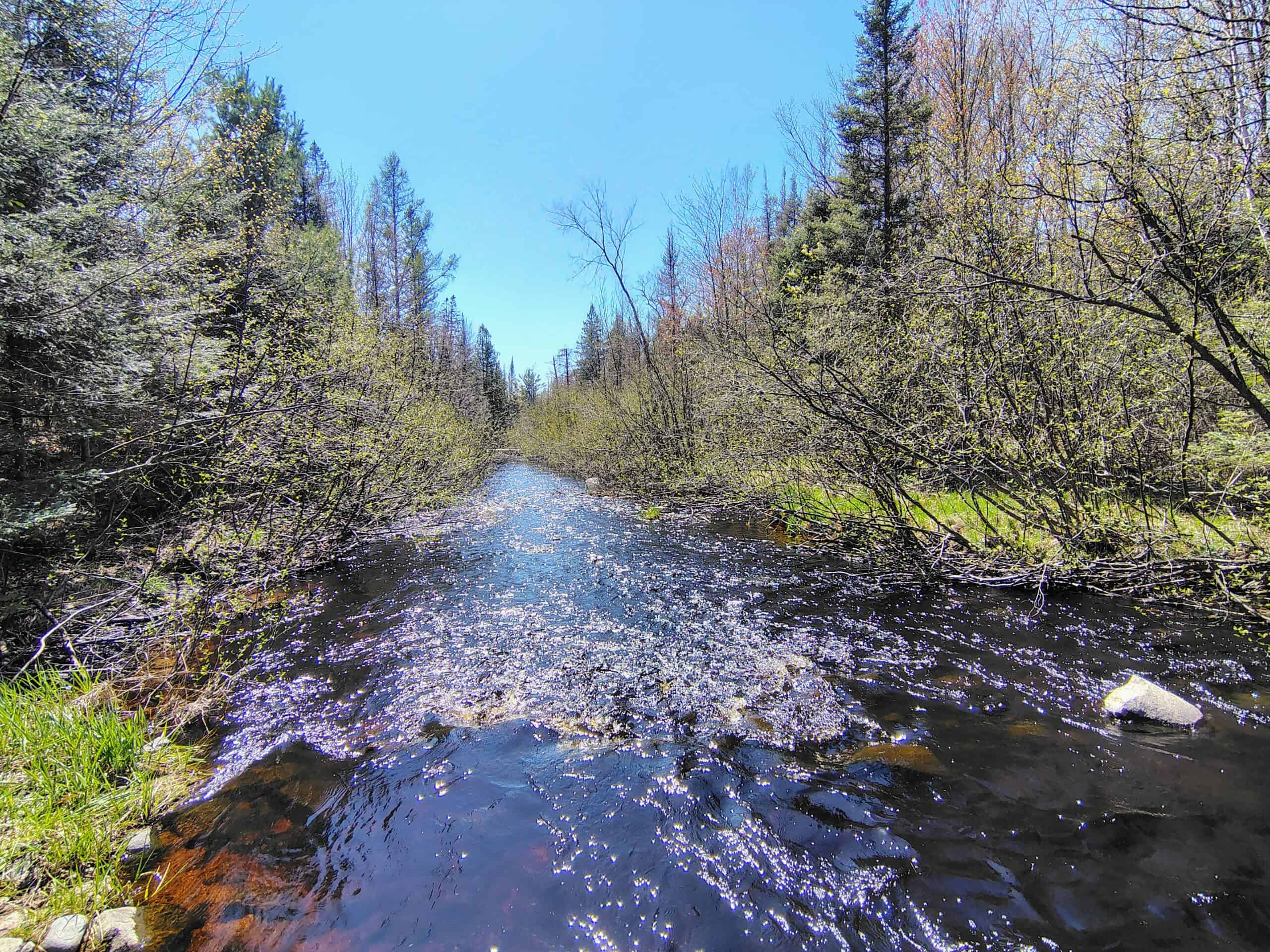 Land with Cabin for Sale in Glidden, Wisconsin