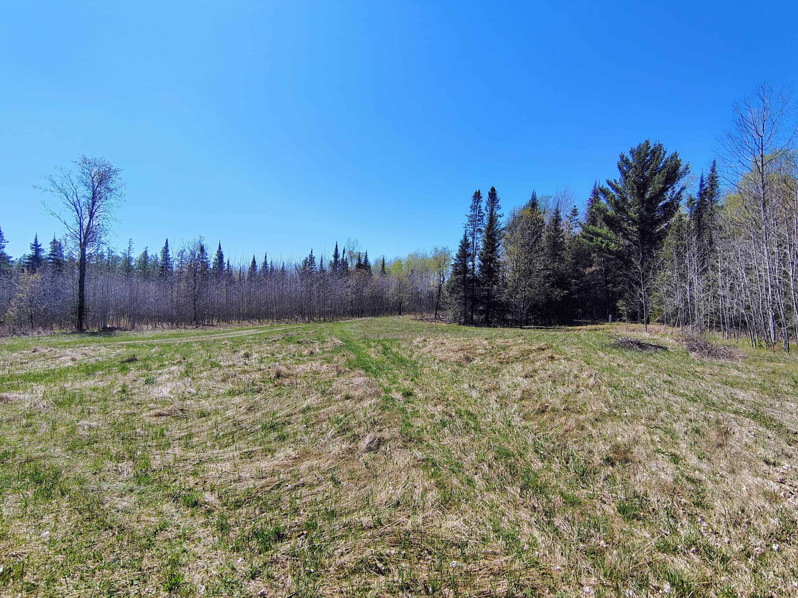 Land with Cabin for Sale in Glidden, Wisconsin