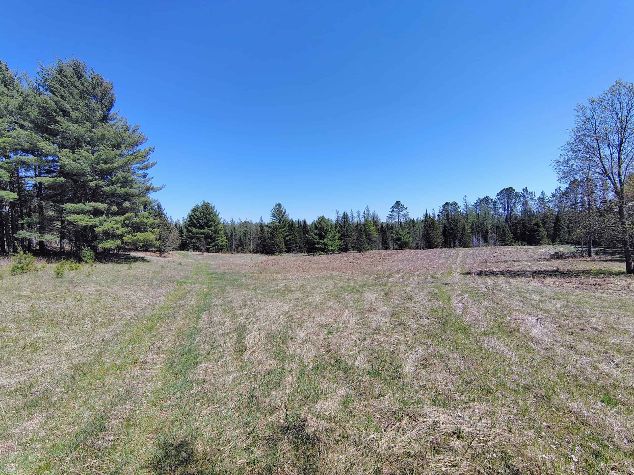 Land with Cabin for Sale in Glidden, Wisconsin
