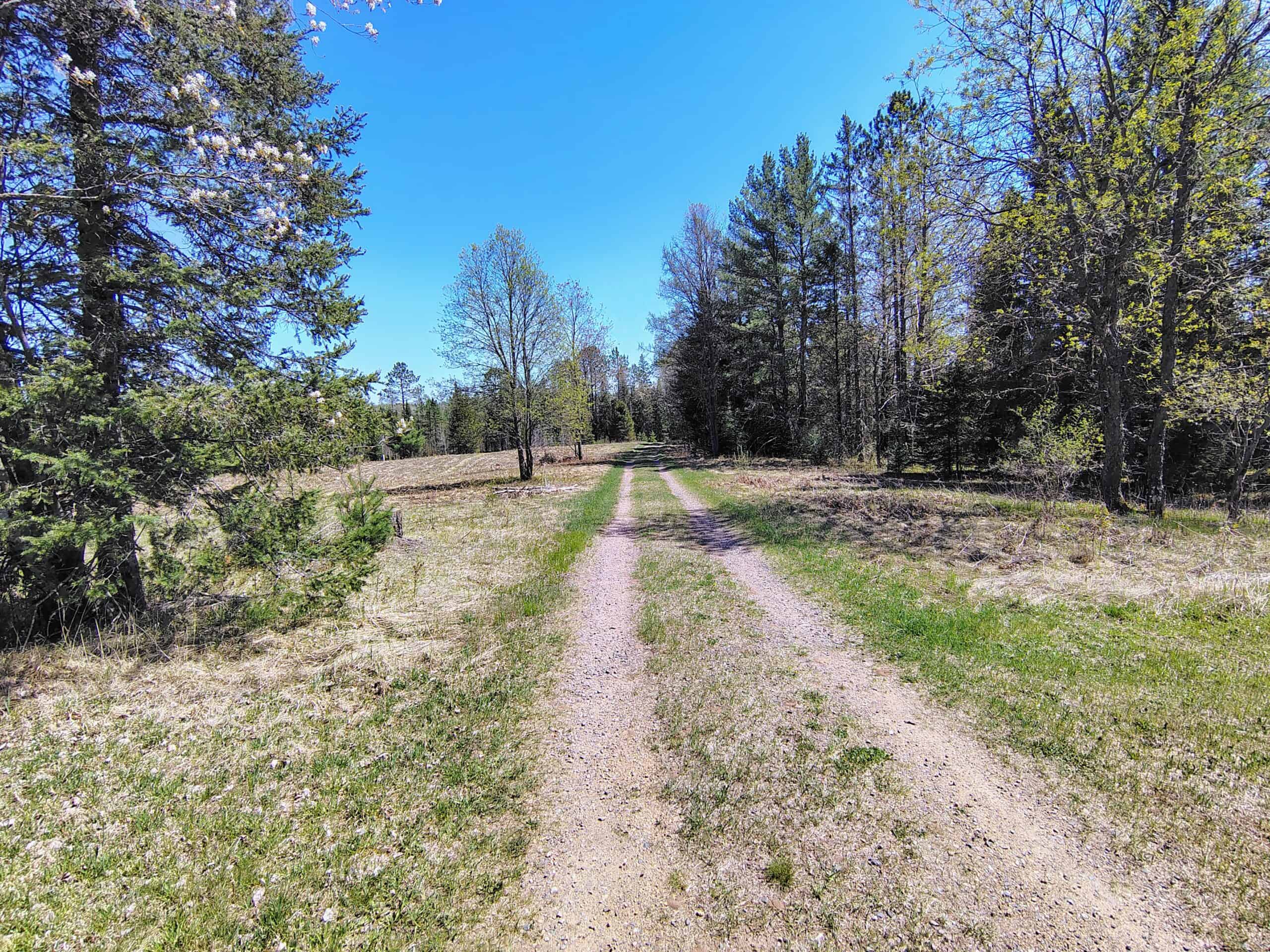 Land with Cabin for Sale in Glidden, Wisconsin