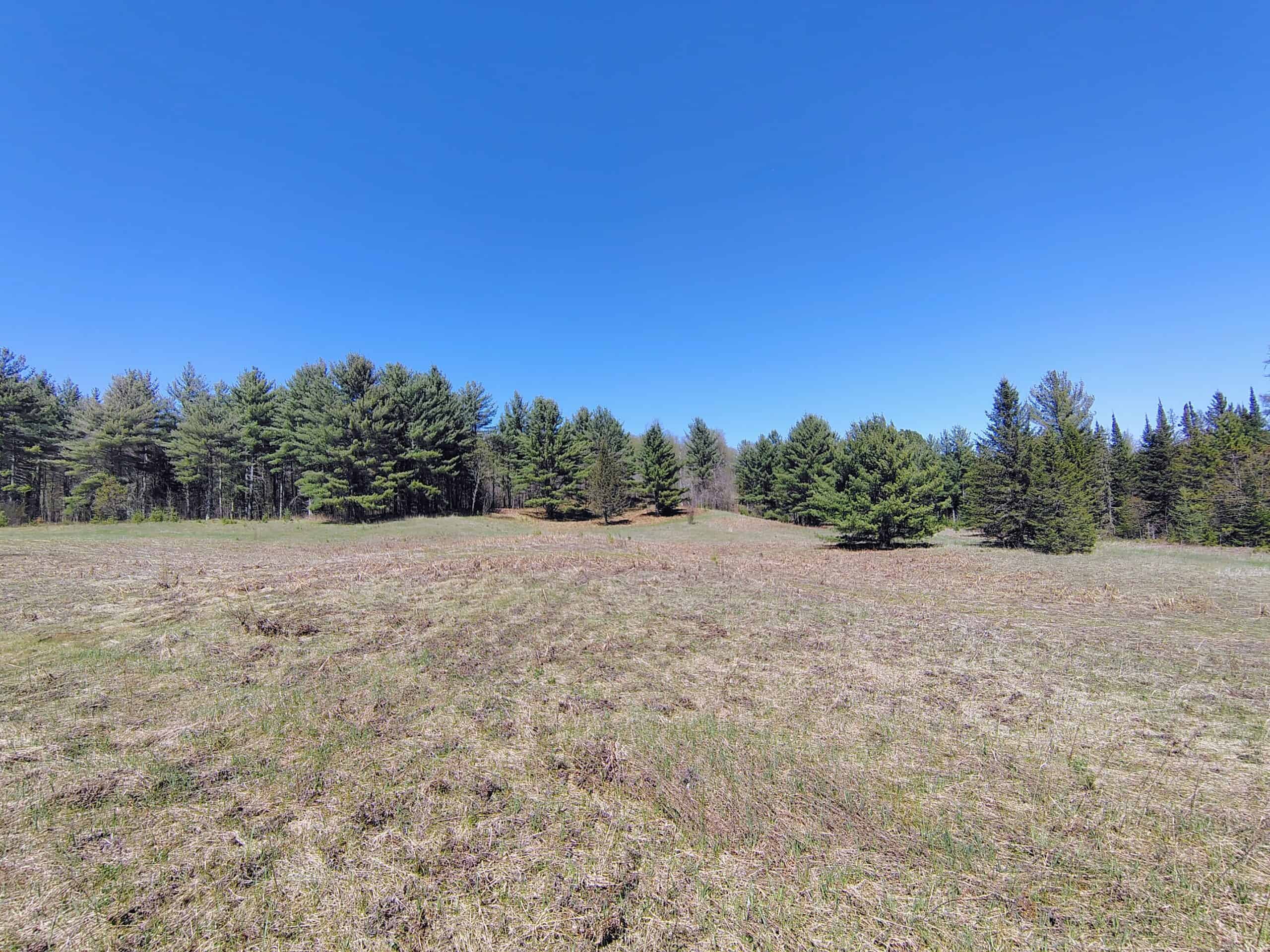 Land with Cabin for Sale in Glidden, Wisconsin