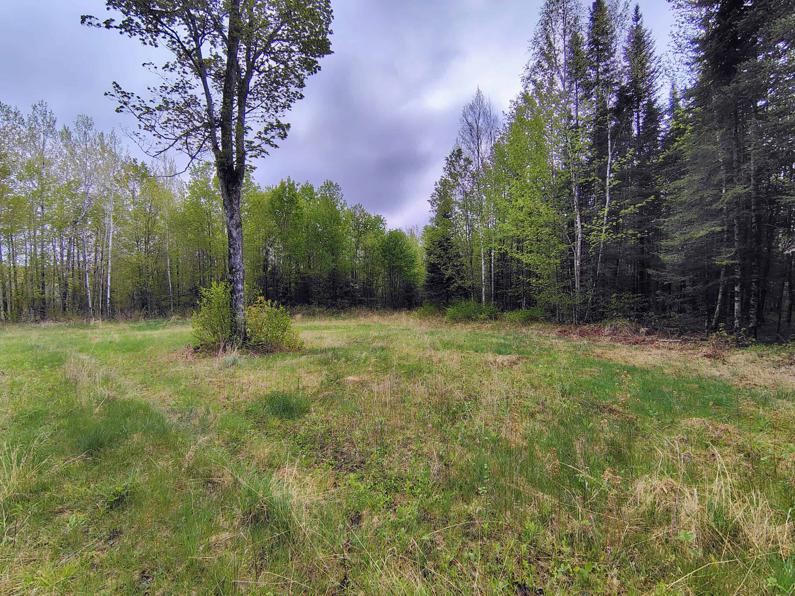 Hunting Land for Sale in Park Falls, Wisconsin