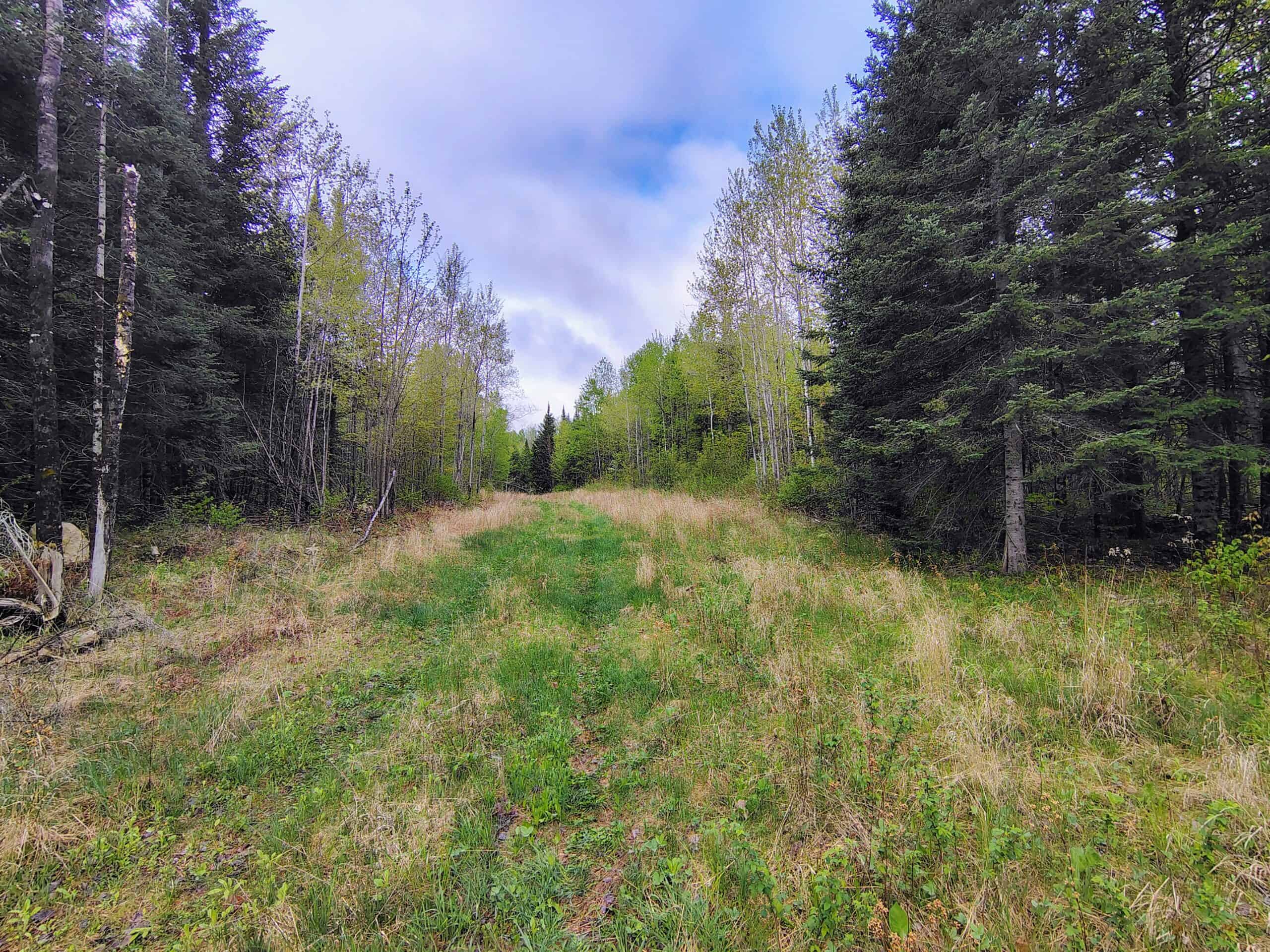 Hunting Land for Sale in Park Falls, Wisconsin