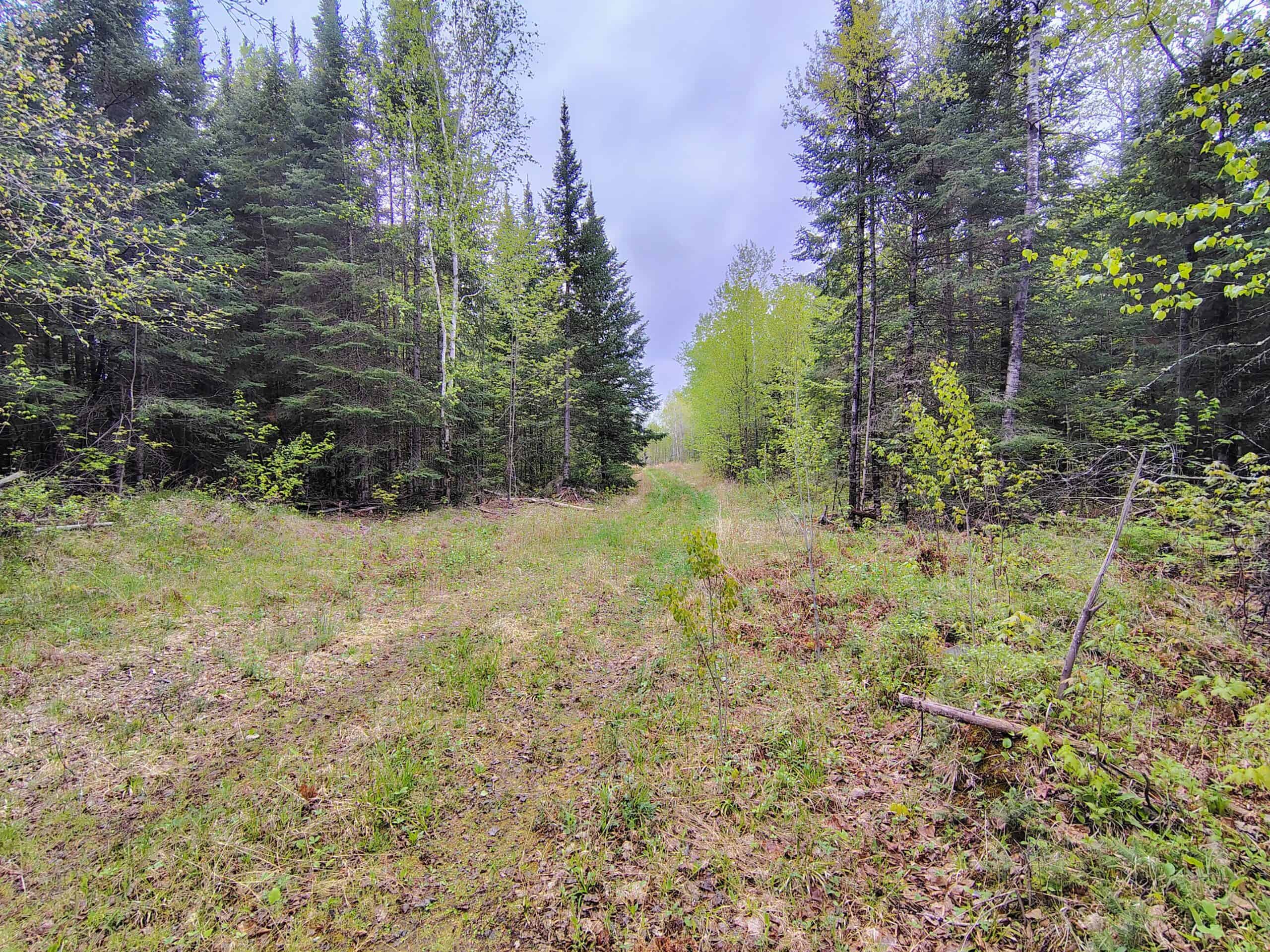 Hunting Land for Sale in Park Falls, Wisconsin