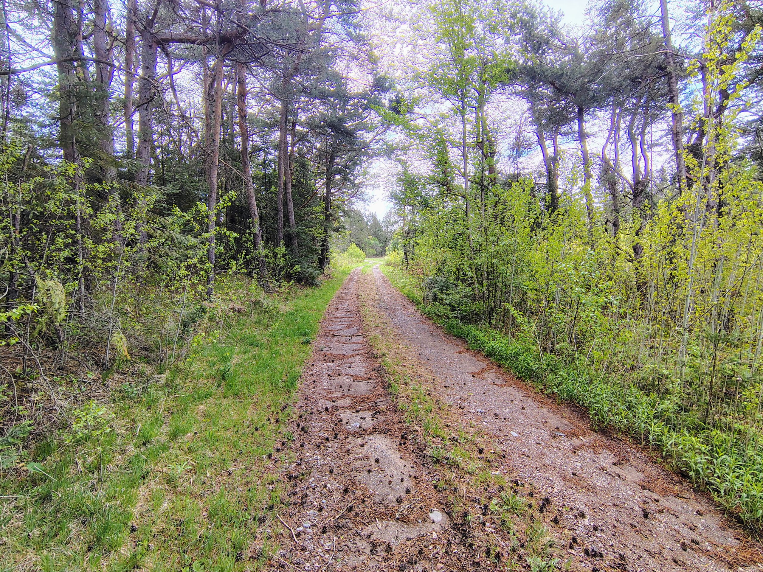 Acreage for Sale in Butternut, Wisconsin