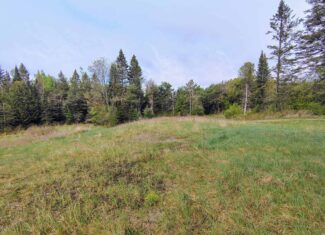 Acreage for Sale in Butternut, Wisconsin