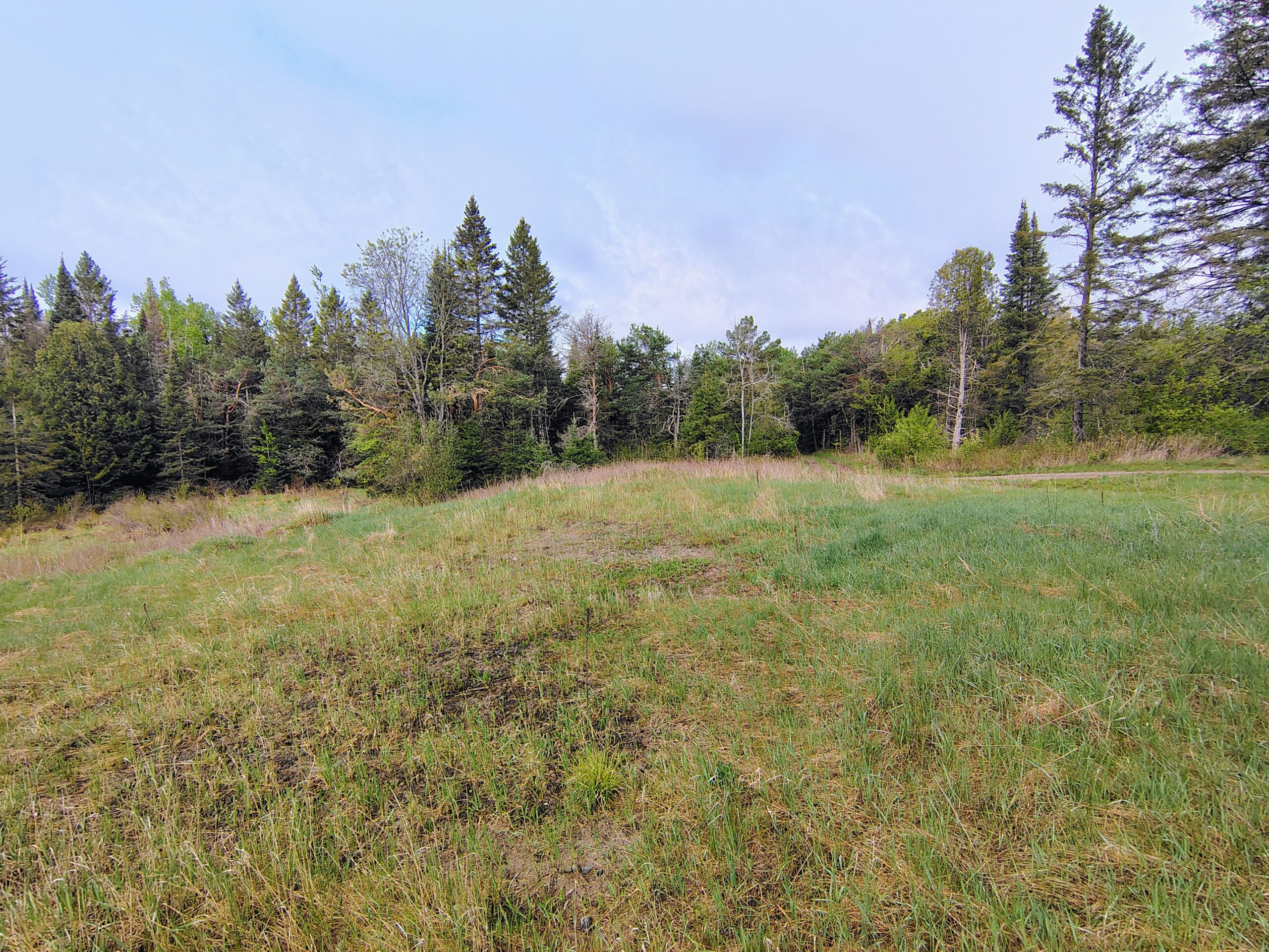 Acreage for Sale in Butternut, Wisconsin