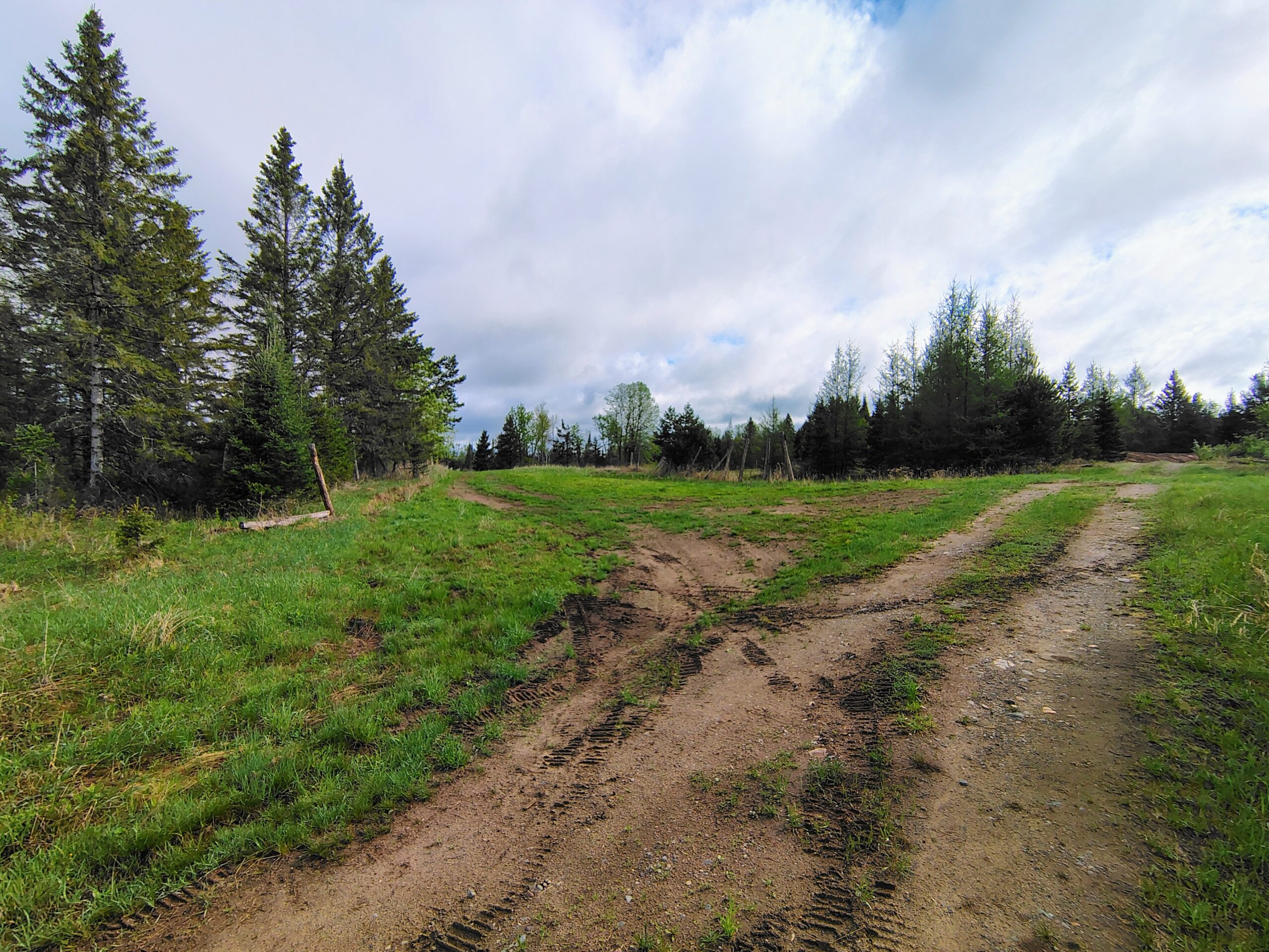 Acreage for Sale in Butternut, Wisconsin