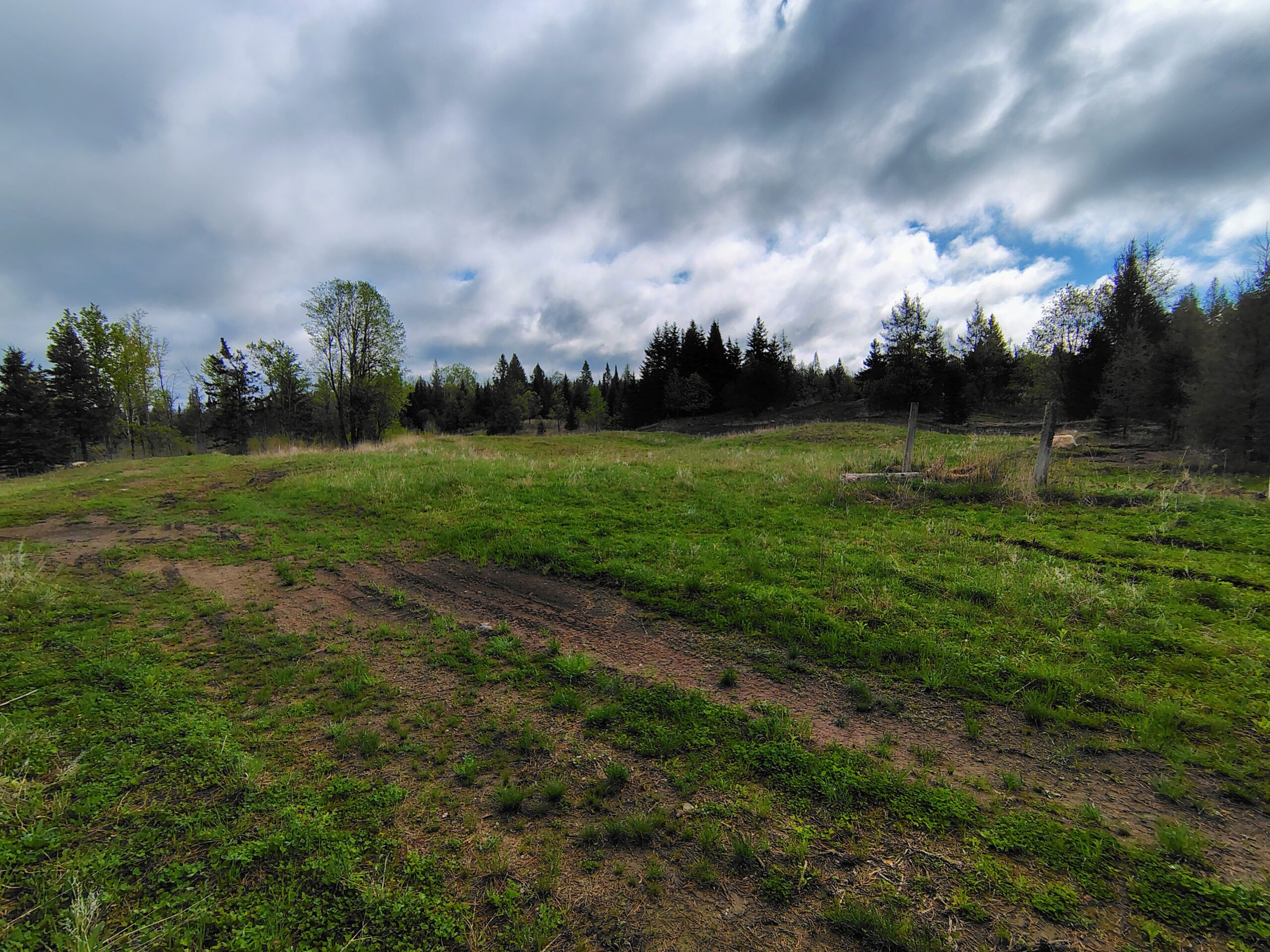 Acreage for Sale in Butternut, Wisconsin