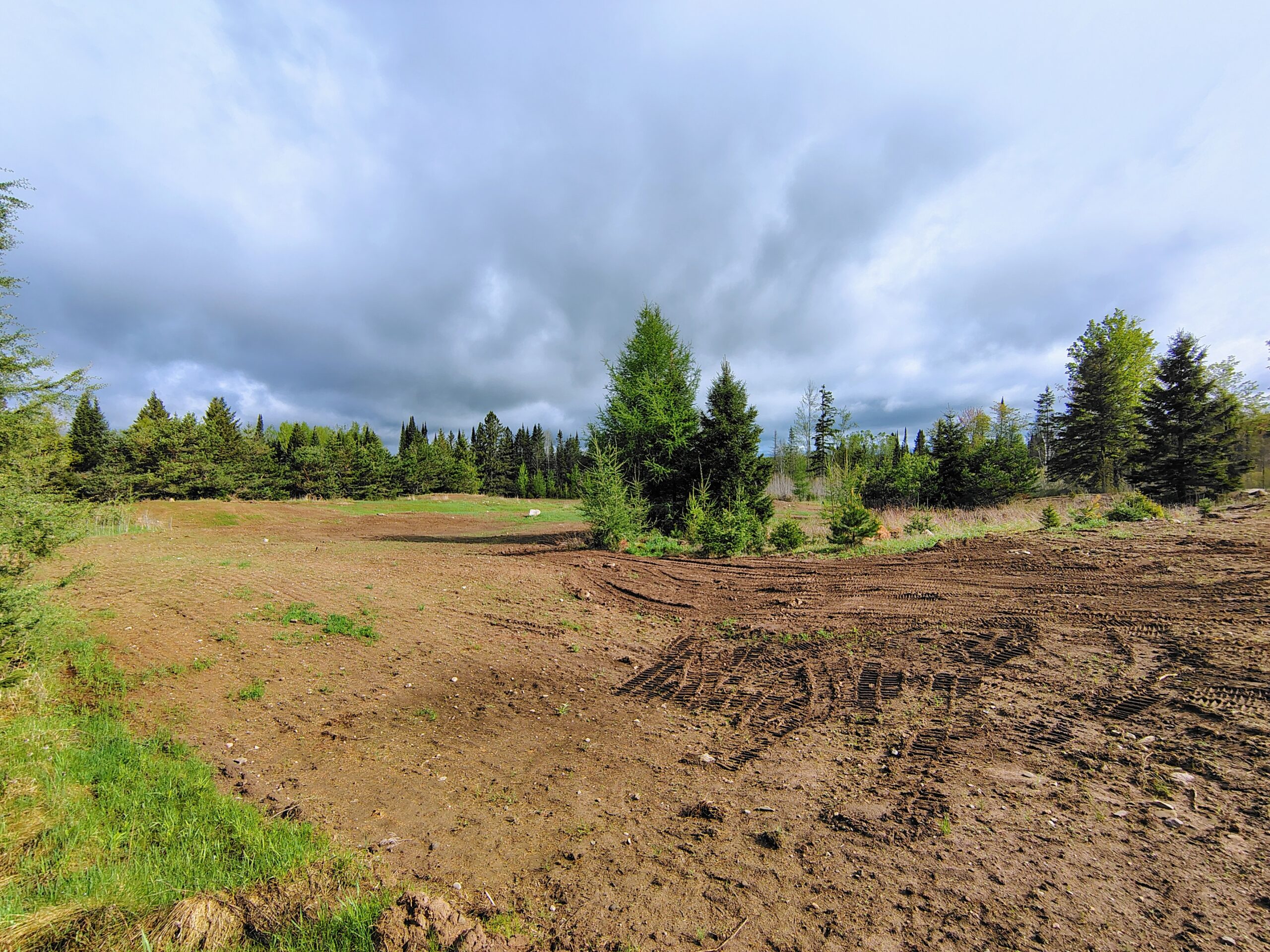 Acreage for Sale in Butternut, Wisconsin