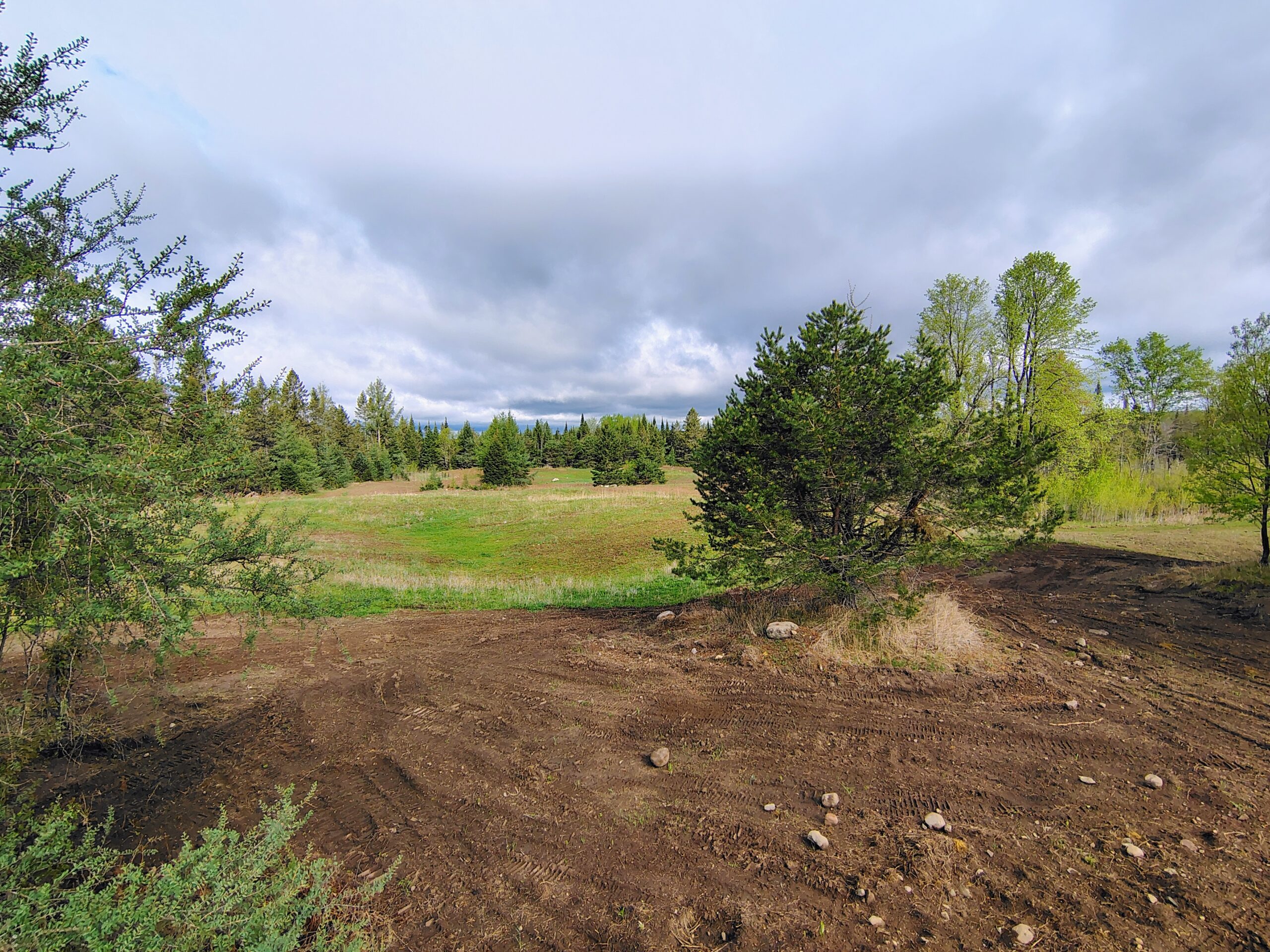 Acreage for Sale in Butternut, Wisconsin