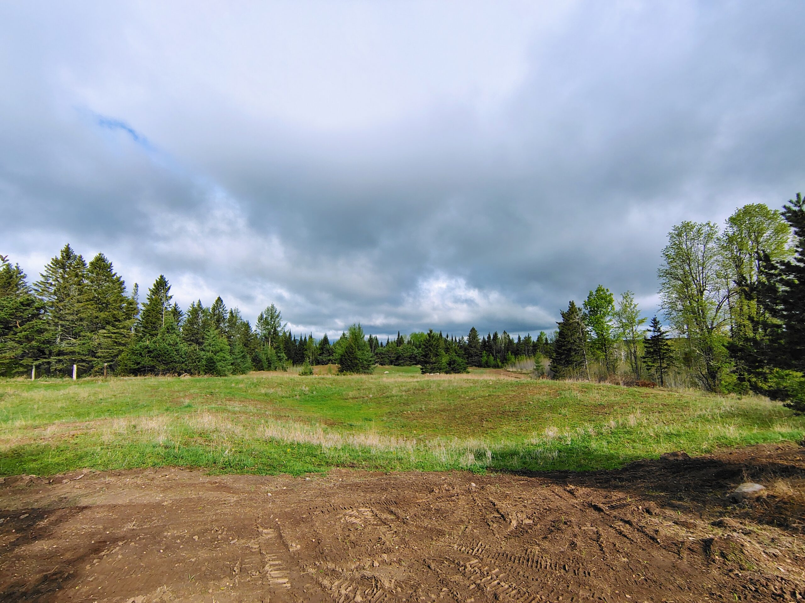 Acreage for Sale in Butternut, Wisconsin