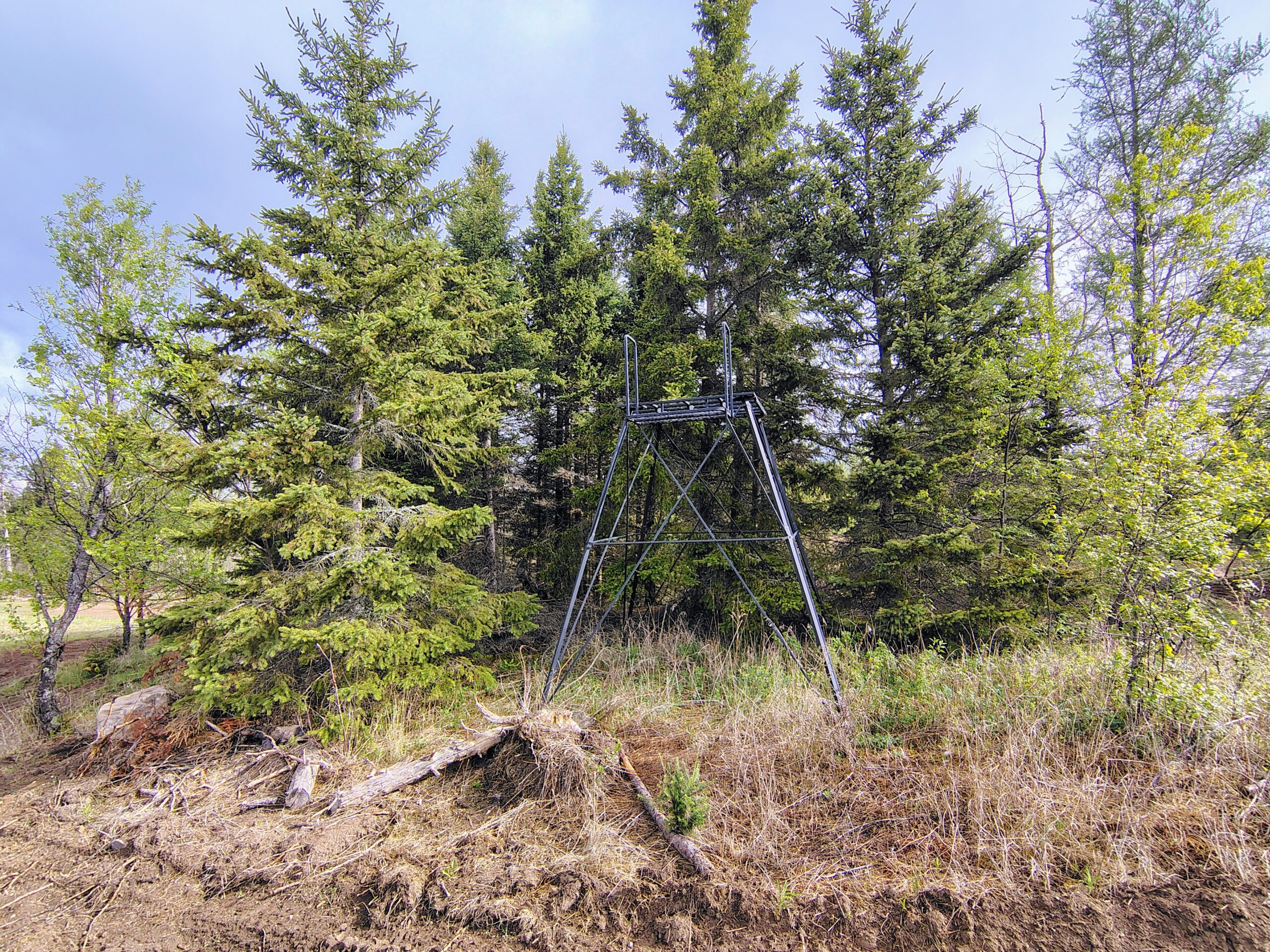 Acreage for Sale in Butternut, Wisconsin