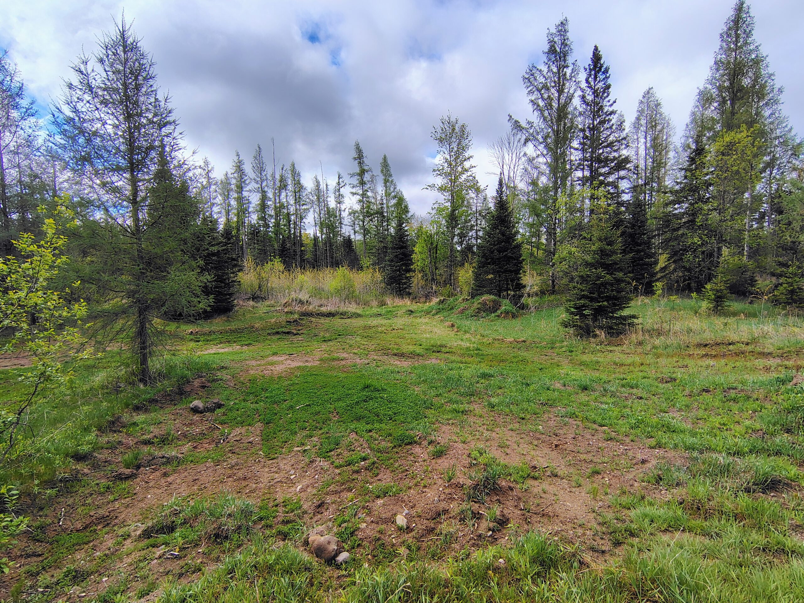 Acreage for Sale in Butternut, Wisconsin