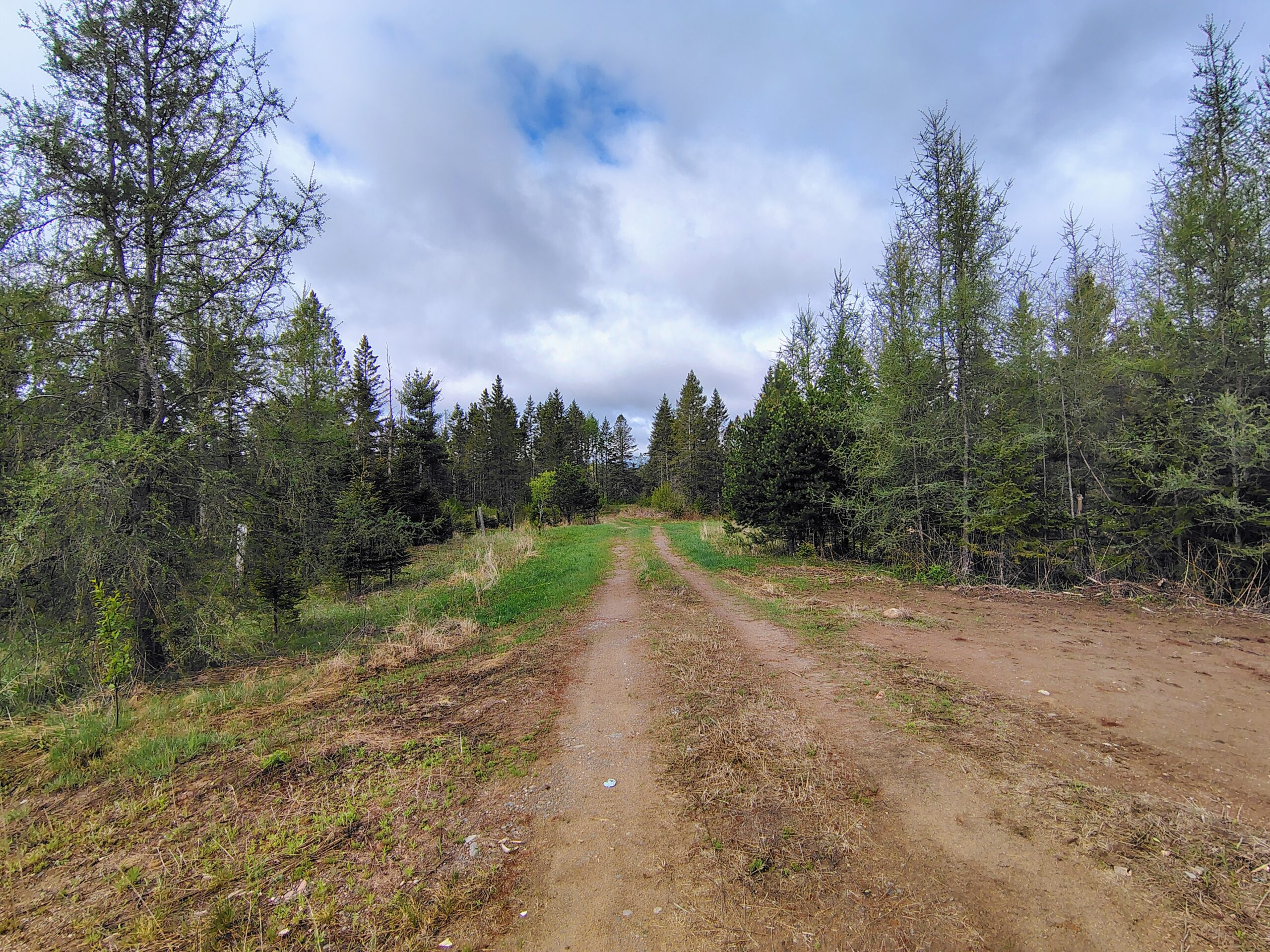 Acreage for Sale in Butternut, Wisconsin
