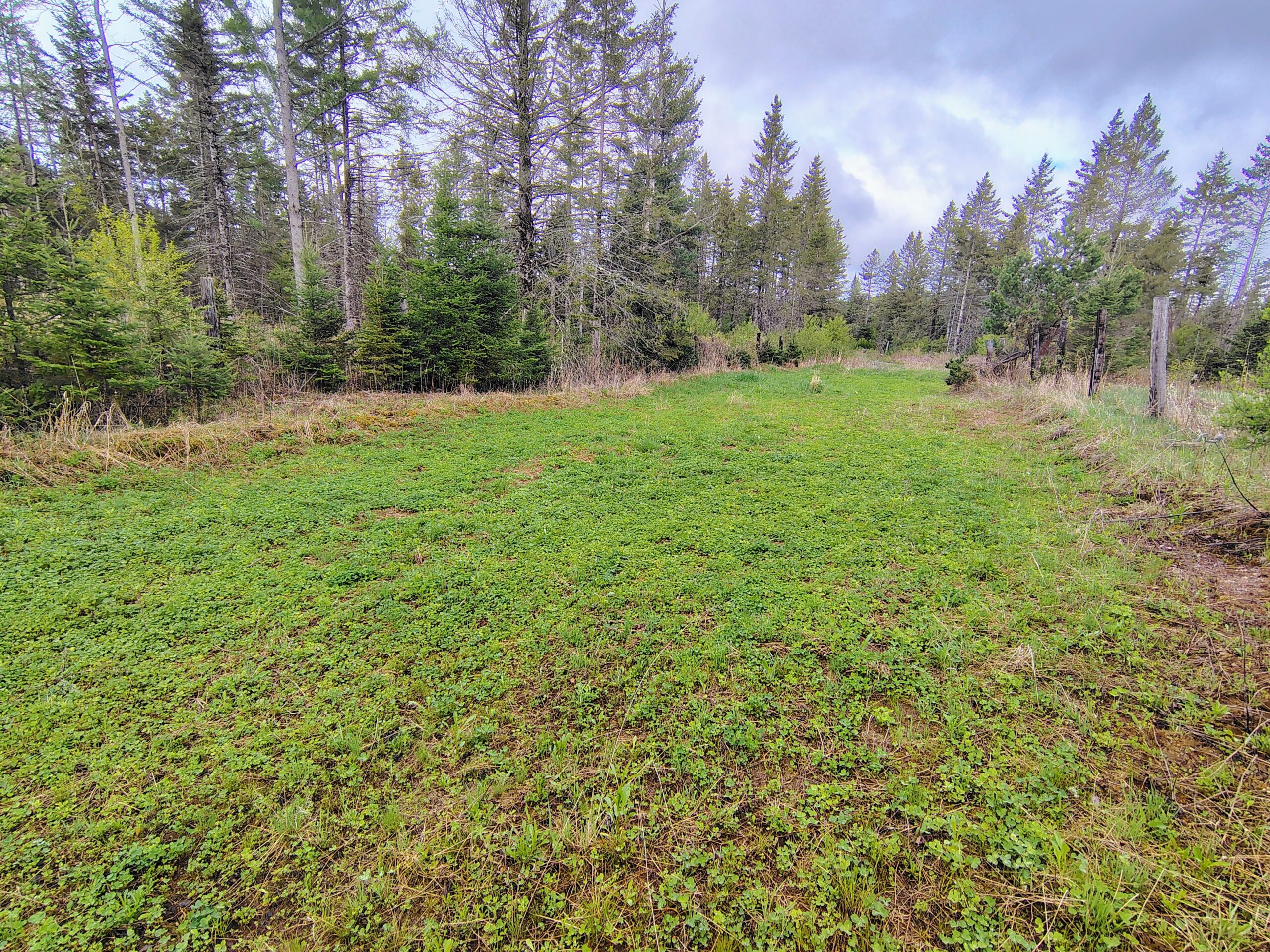 Acreage for Sale in Butternut, Wisconsin