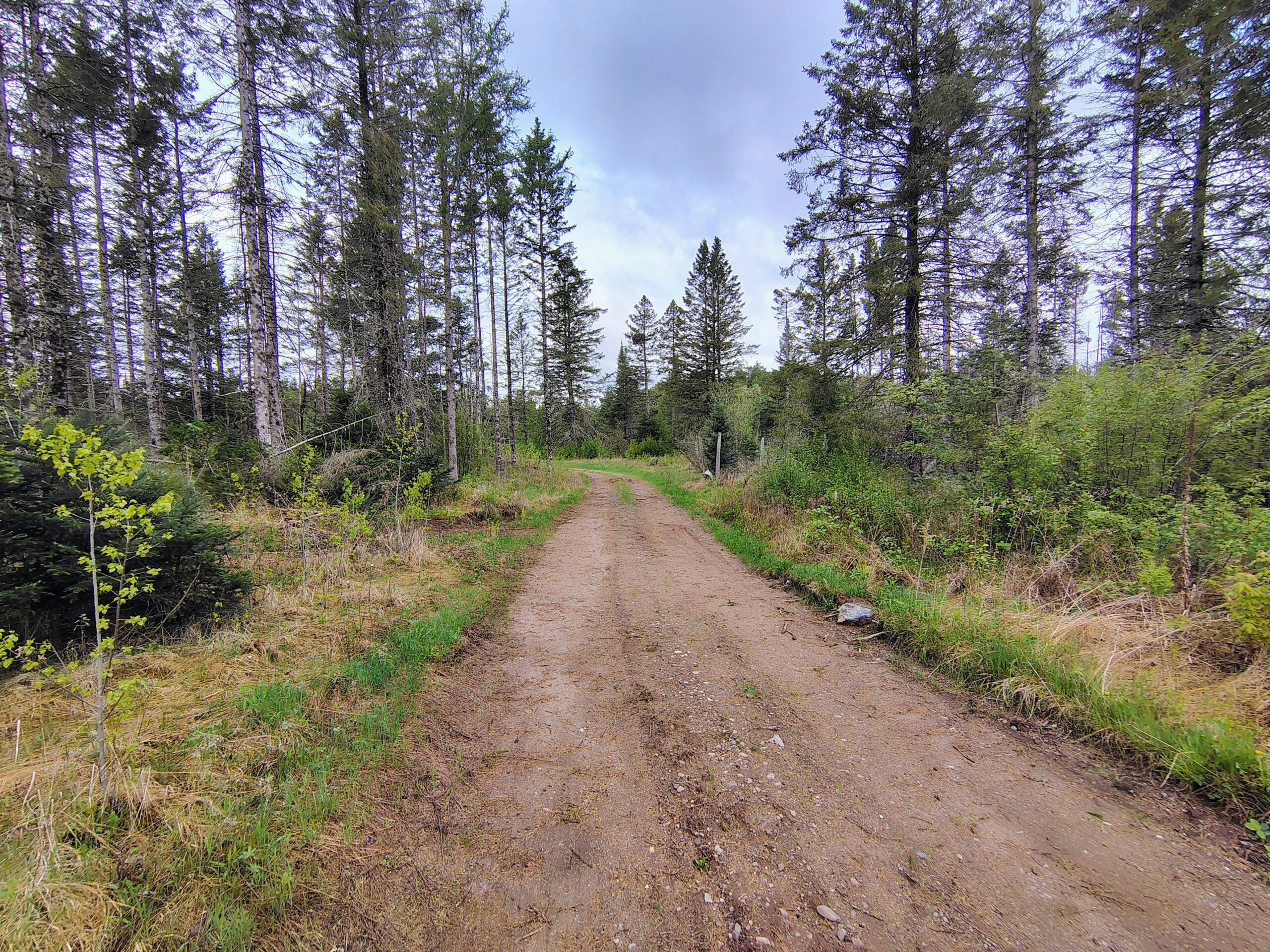 Acreage for Sale in Butternut, Wisconsin