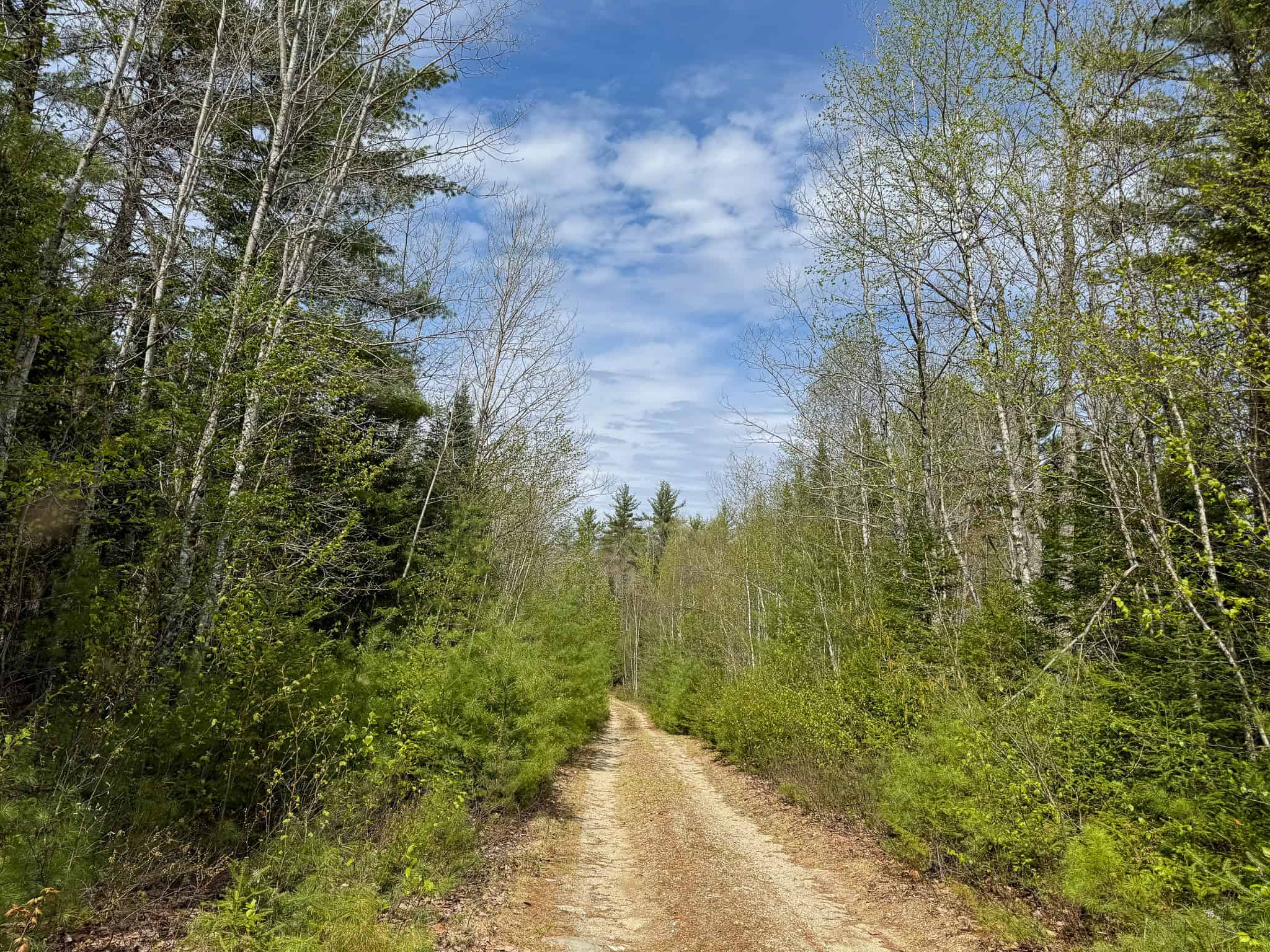 1206± Acres of Pristine Forestland