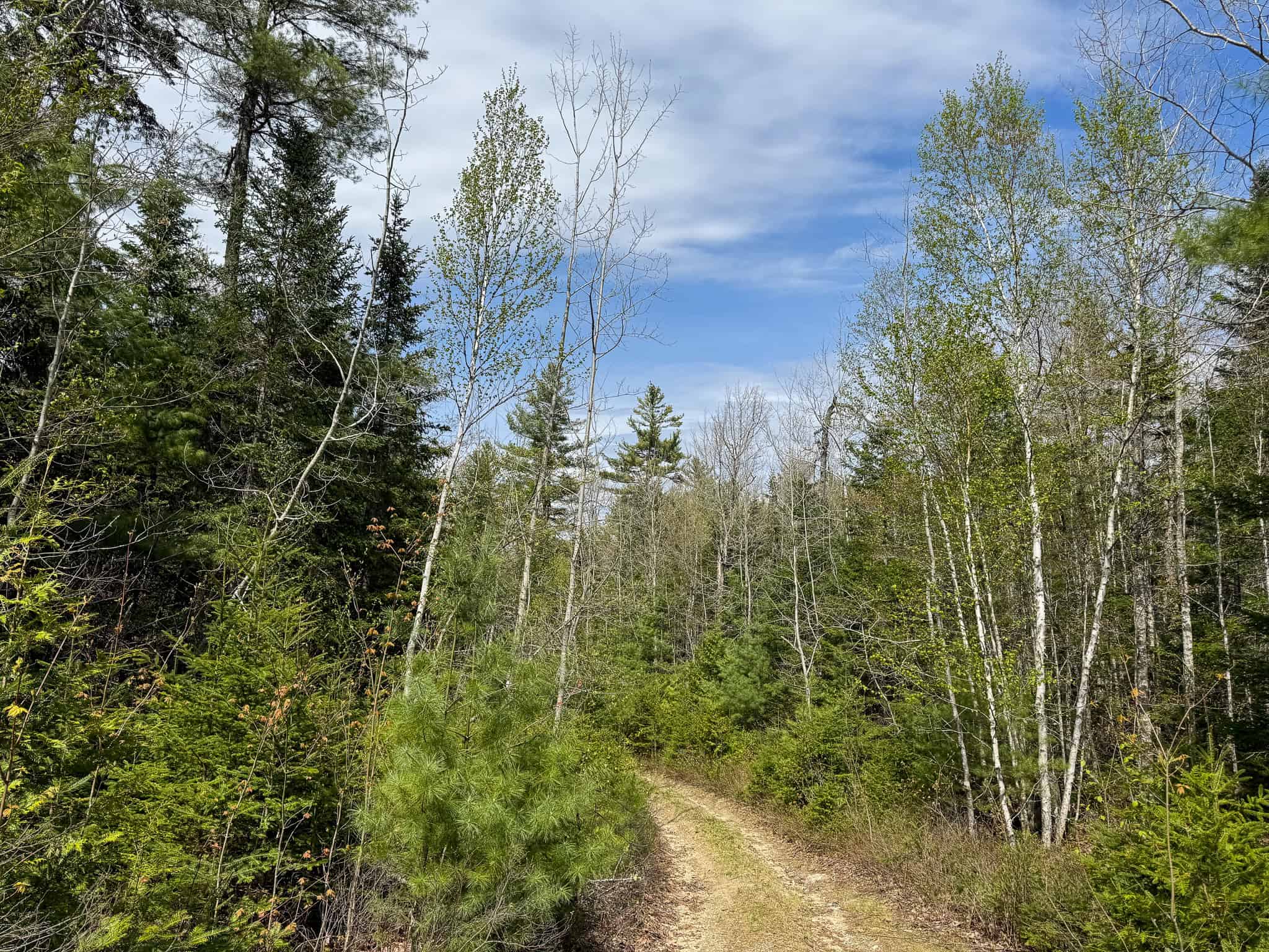 1206± Acres of Pristine Forestland