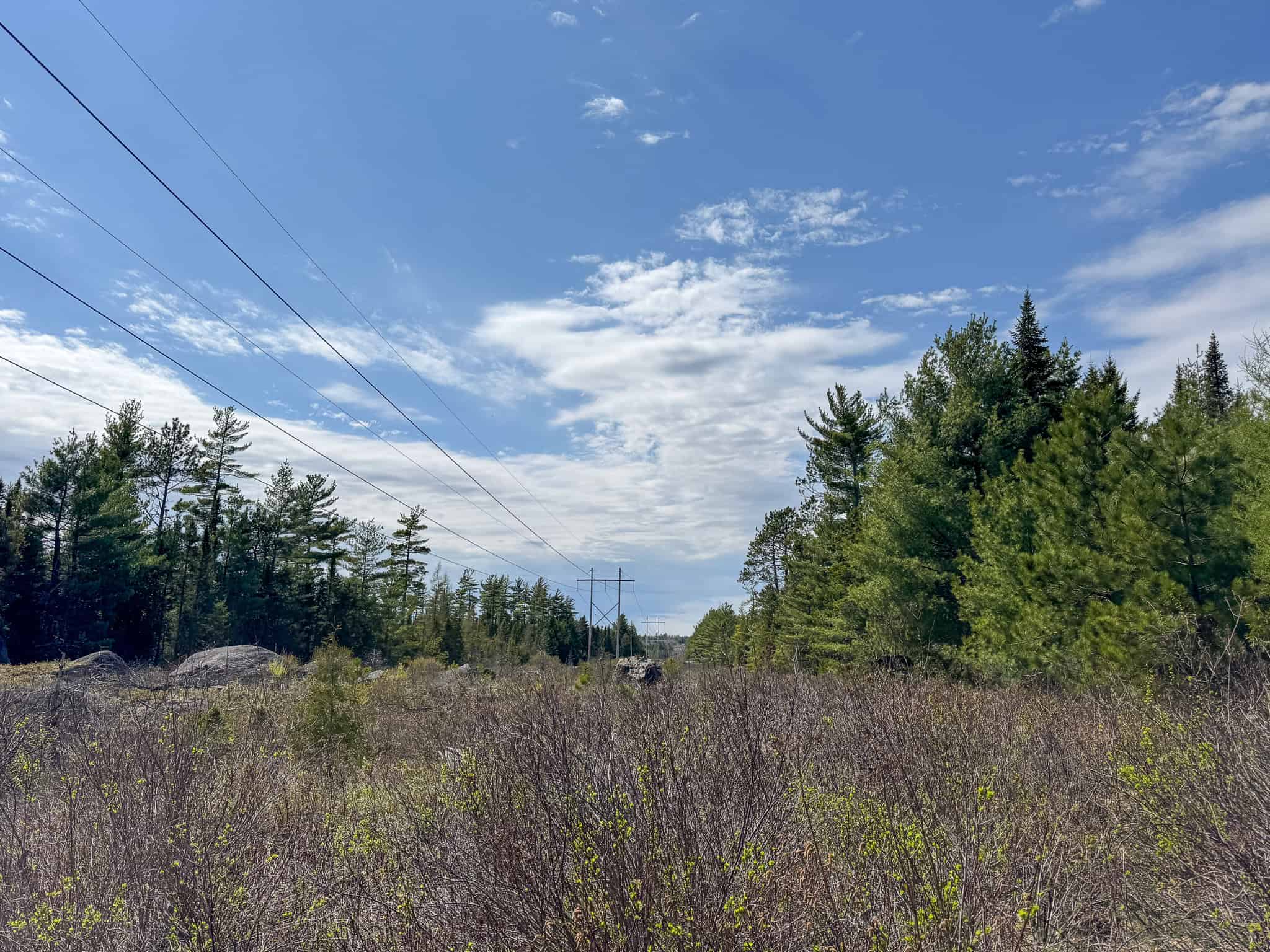 1206± Acres of Pristine Forestland