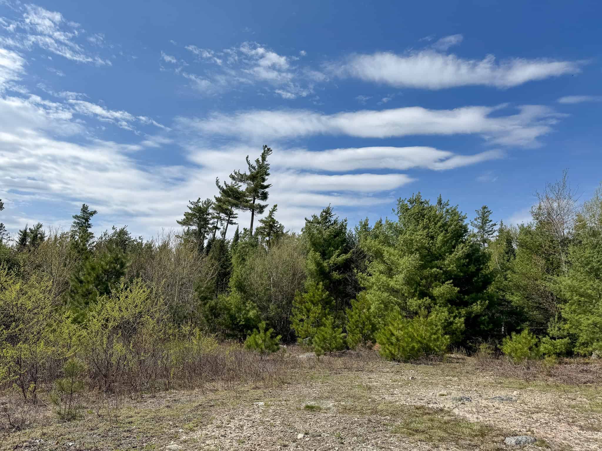 1206± Acres of Pristine Forestland