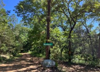 Off-Grid Mountain Getaway – 15+/- Acres in the Kiamichi Wilderness (Daisy Side)
