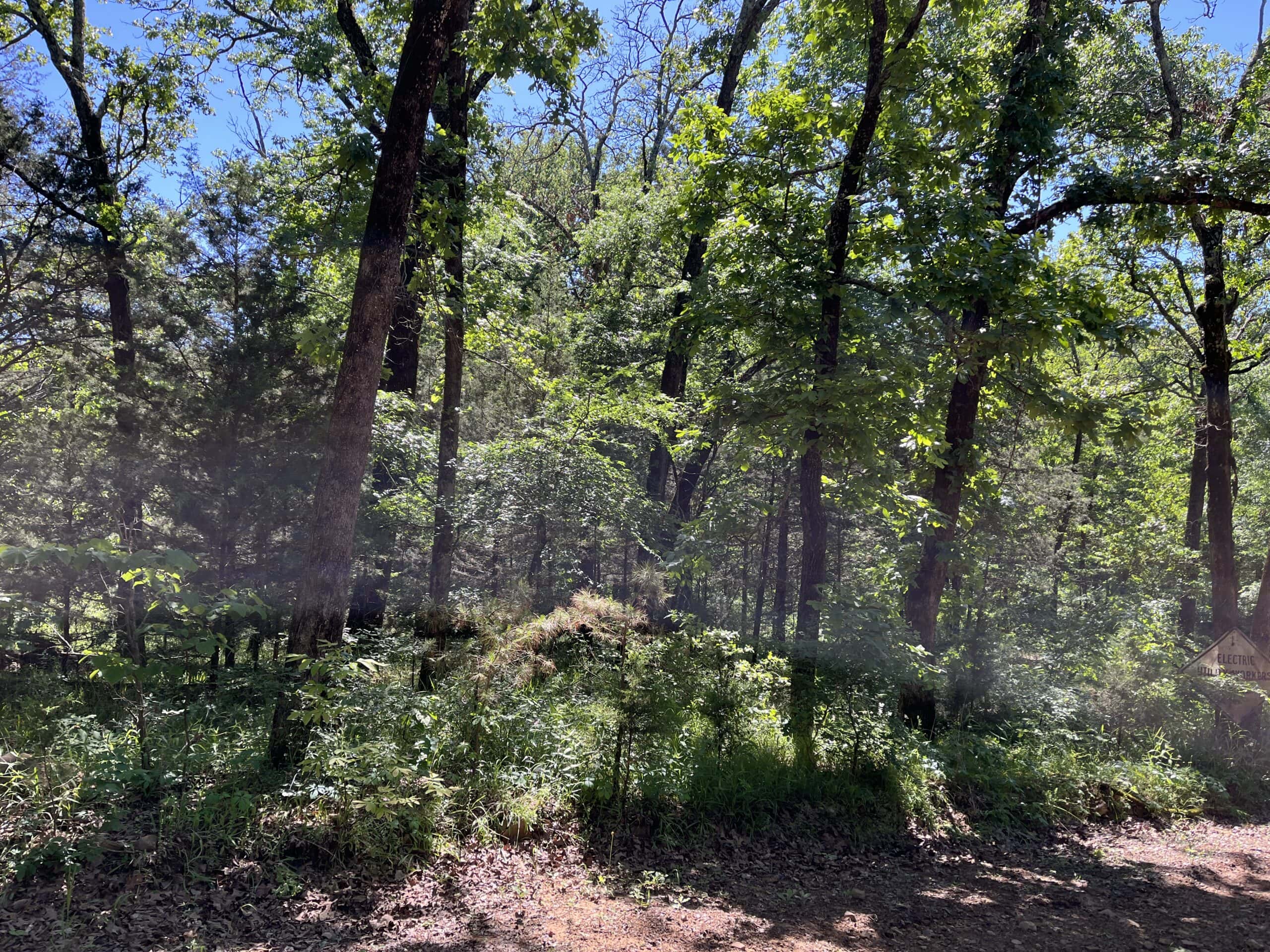 Off-Grid Mountain Getaway – 15+/- Acres in the Kiamichi Wilderness (Daisy Side)