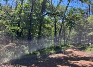 Off-Grid Mountain Getaway – 15+/- Acres in the Kiamichi Wilderness (Daisy Side)