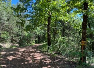Off-Grid Mountain Getaway – 15+/- Acres in the Kiamichi Wilderness (Daisy Side)