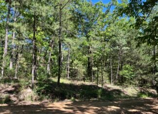 Off-Grid Mountain Getaway – 15+/- Acres in the Kiamichi Wilderness (Daisy Side)