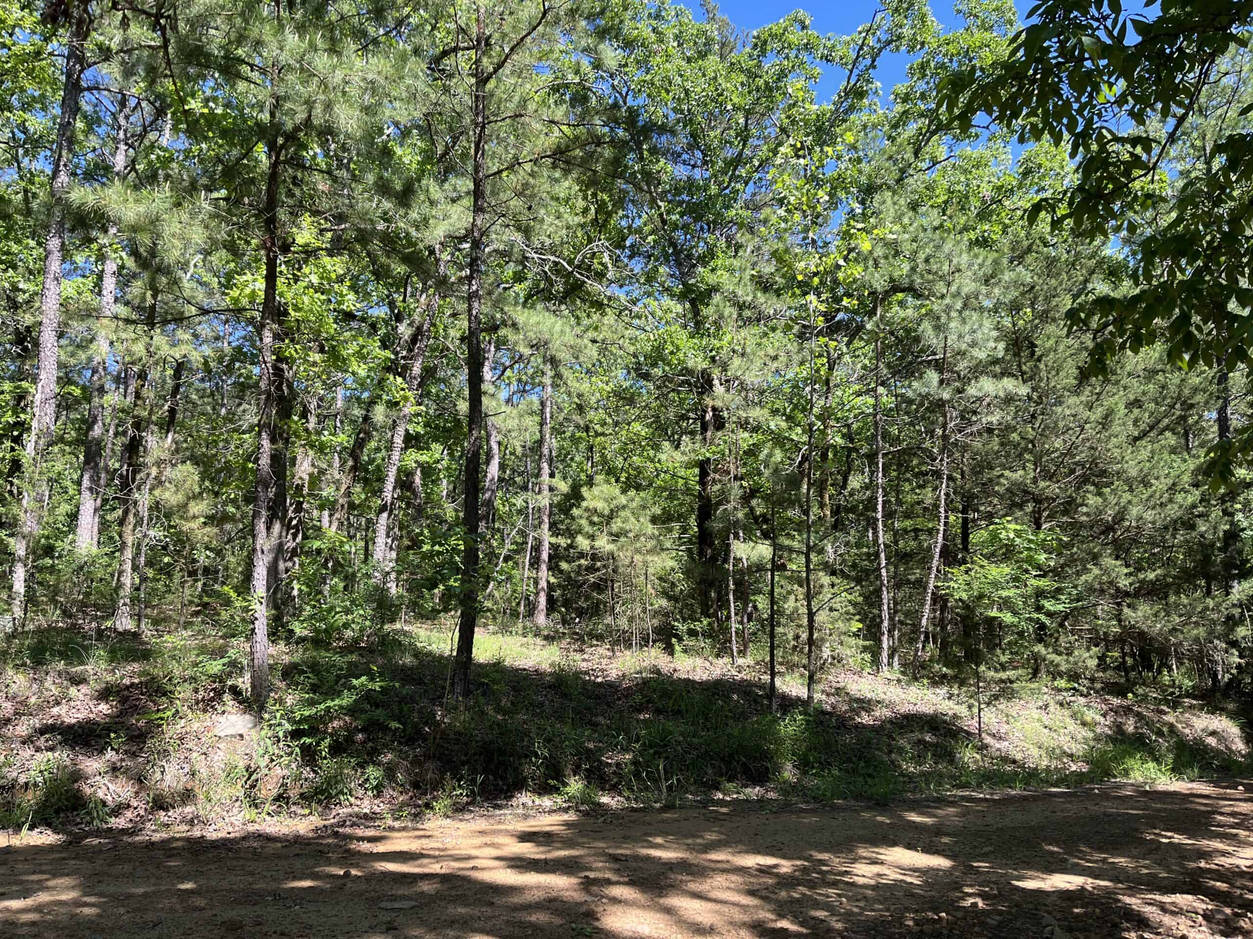 Off-Grid Mountain Getaway – 15+/- Acres in the Kiamichi Wilderness (Daisy Side)
