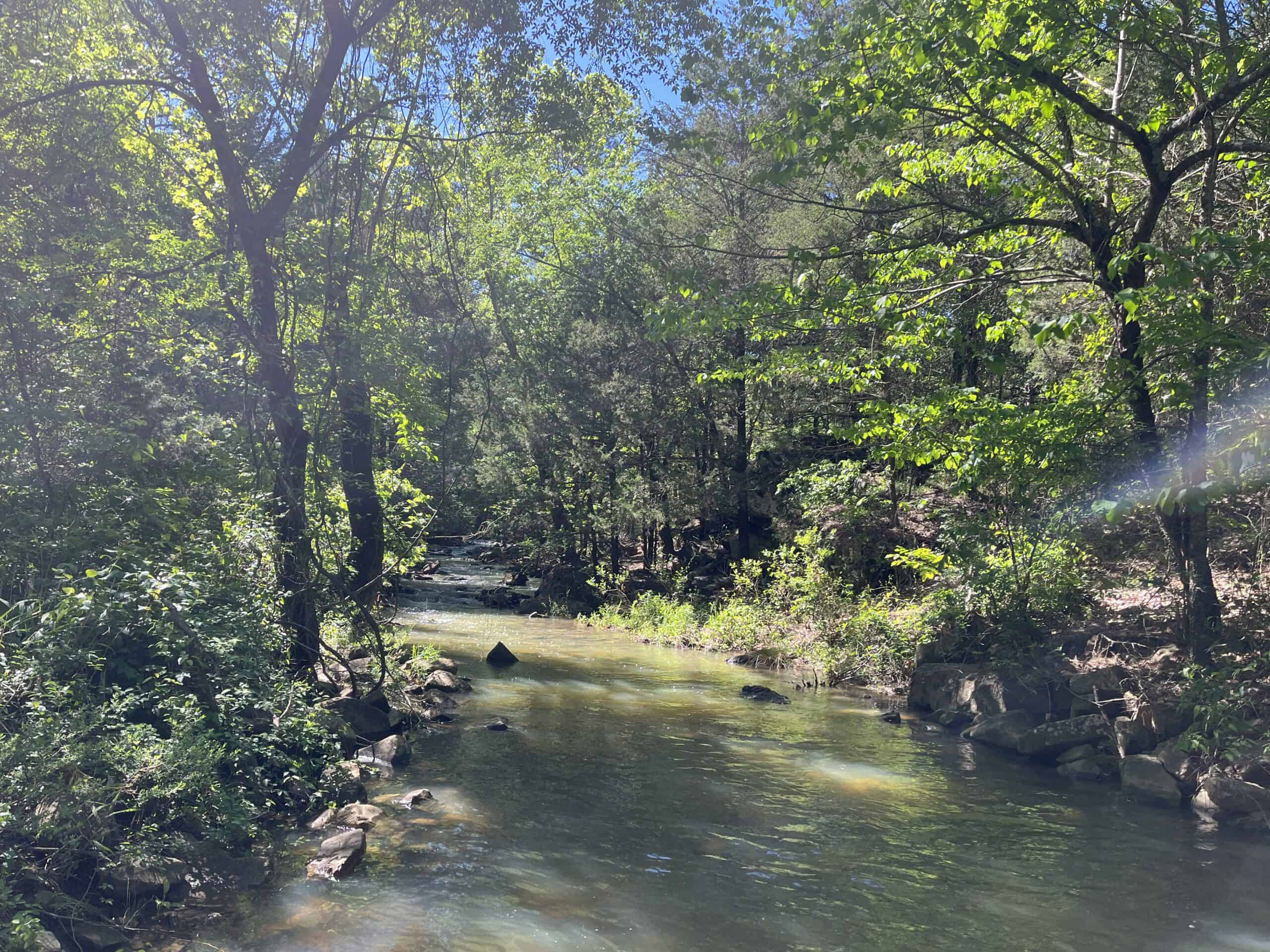 Off-Grid Mountain Getaway – 15+/- Acres in the Kiamichi Wilderness (Daisy Side)